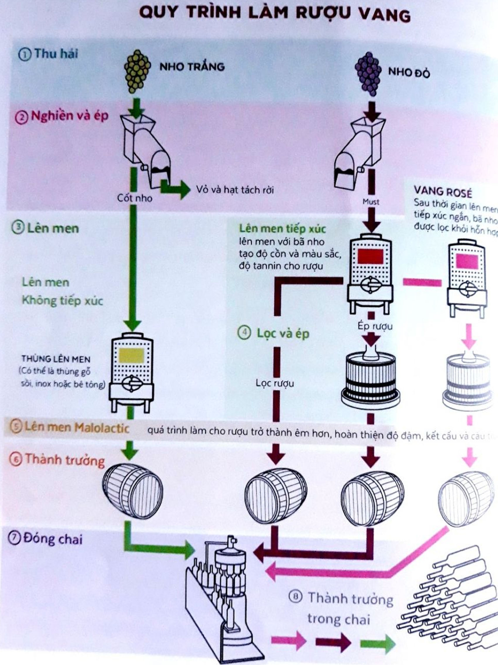 rượu vang beau rivage blanc