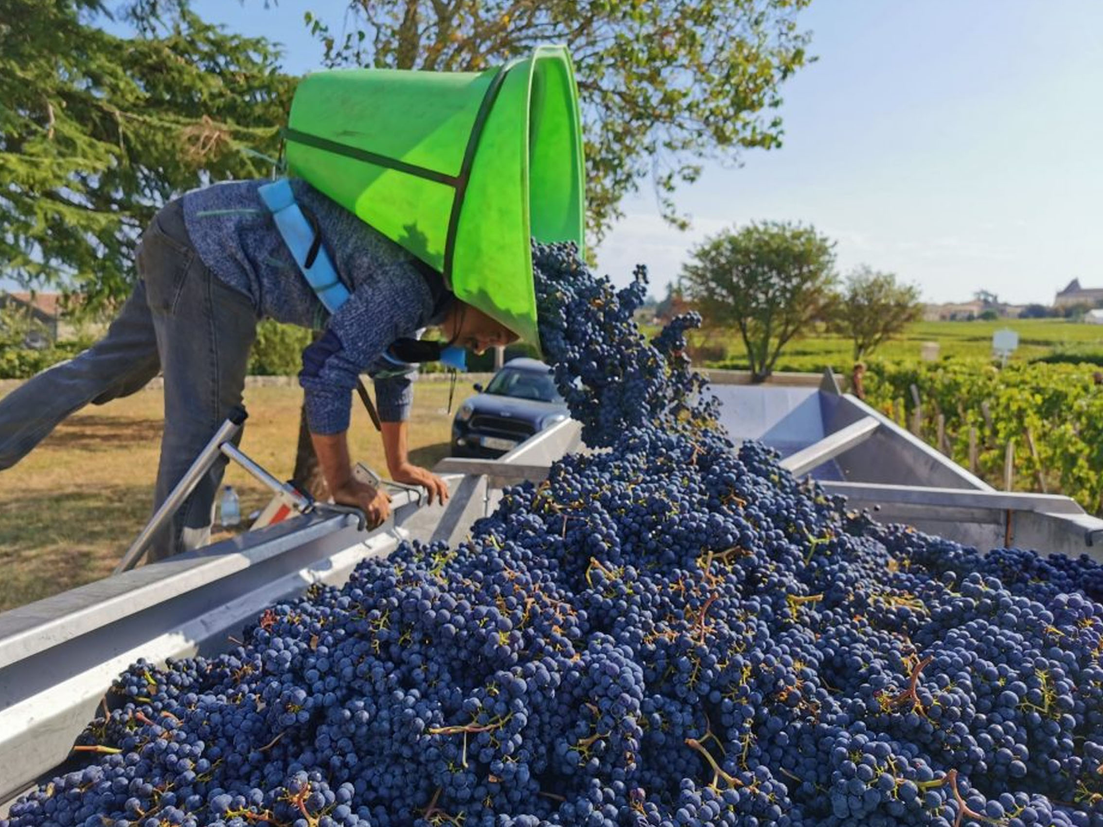 rượu vang chateau beau-site 2009