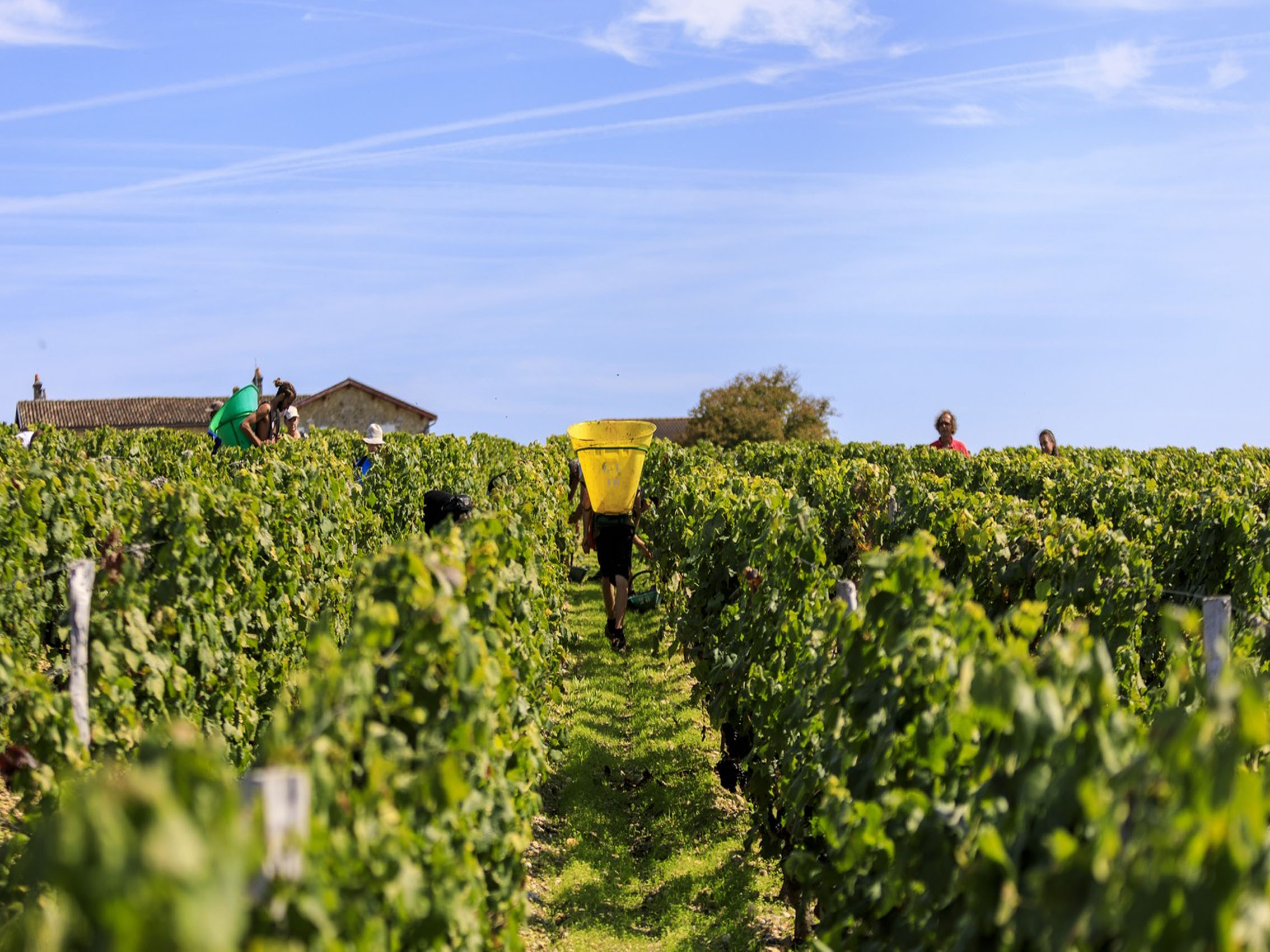 rượu vang chateau beau-site