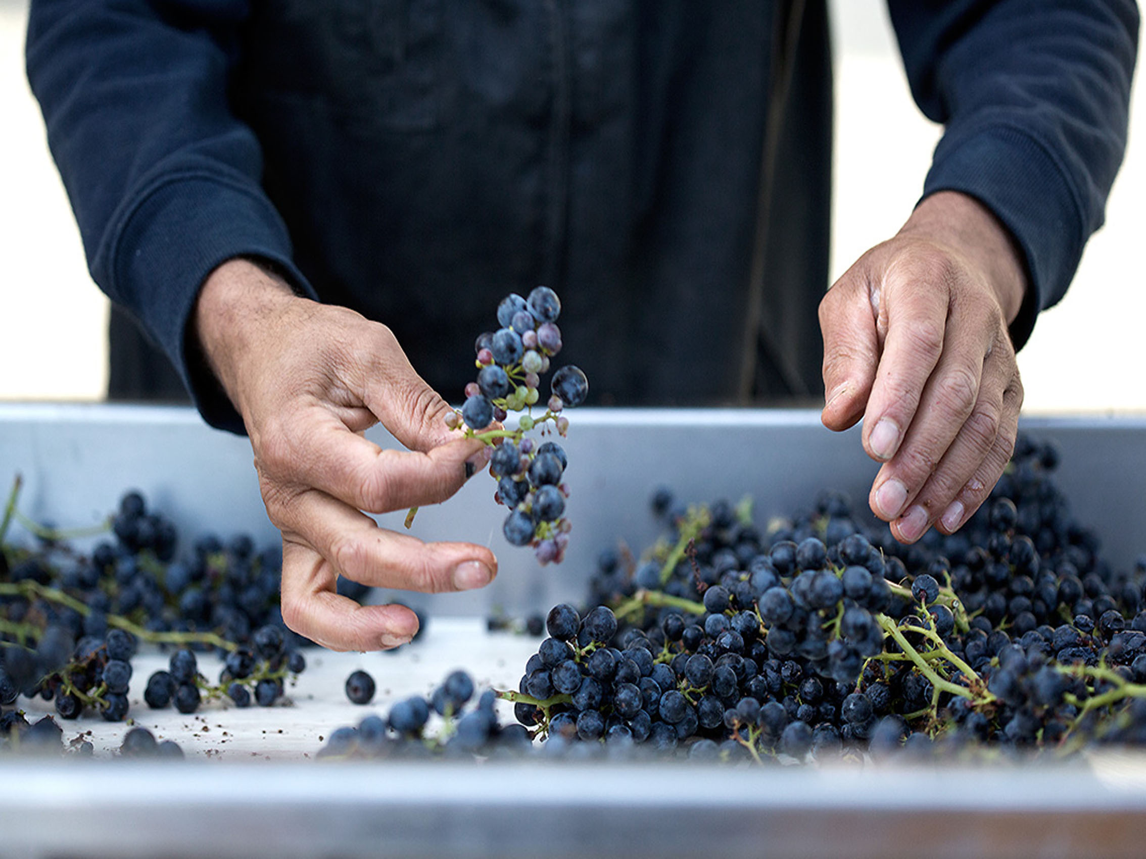 rượu vang château du domaine de l'eglise 1990