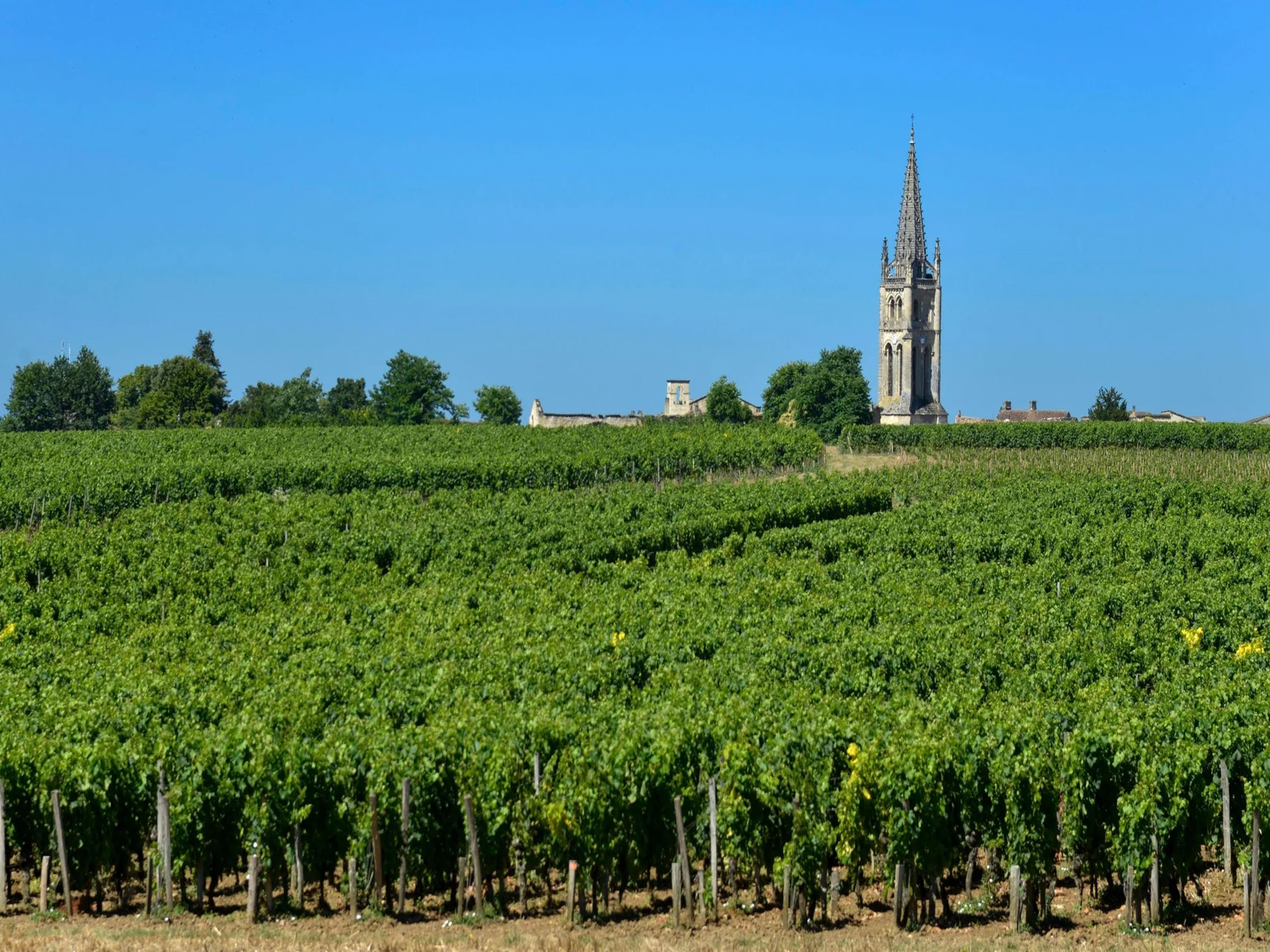 rượu vang château du domaine de l'eglise 2000