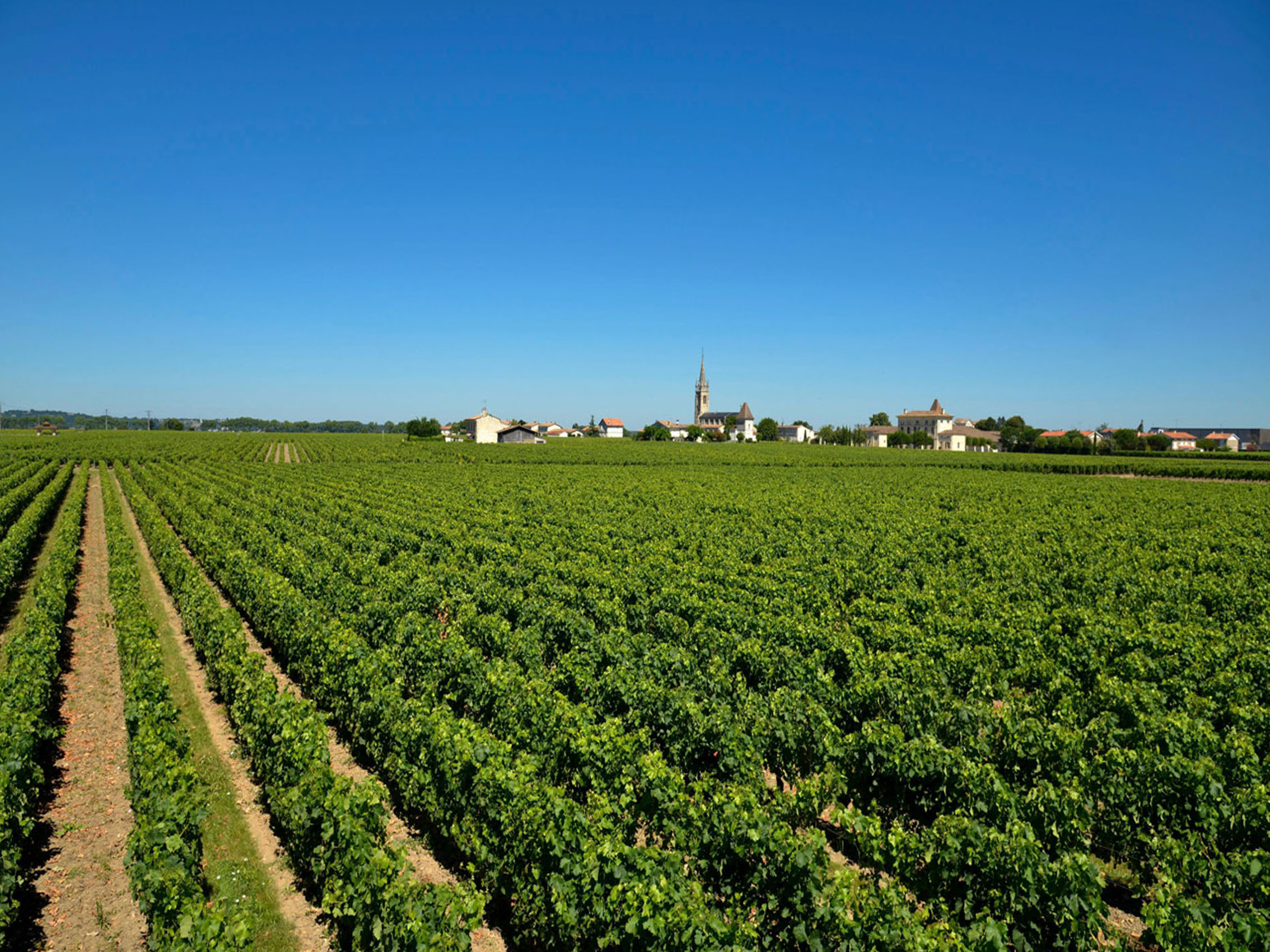 rượu vang château du domaine de l'eglise 2011