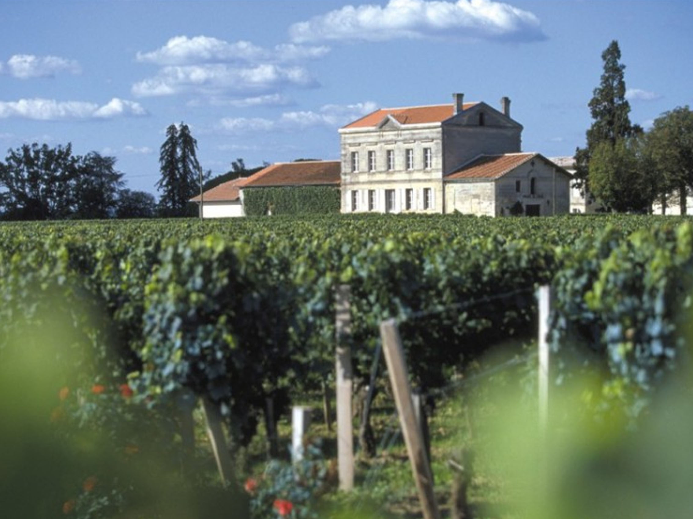 rượu vang château du domaine de l'eglise 2013