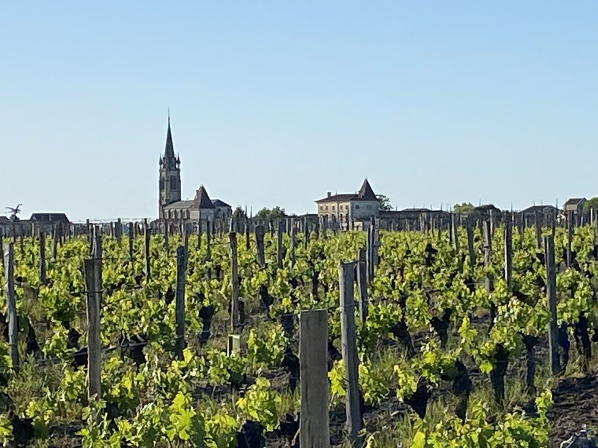 rượu vang château du domaine de l'eglise 2015