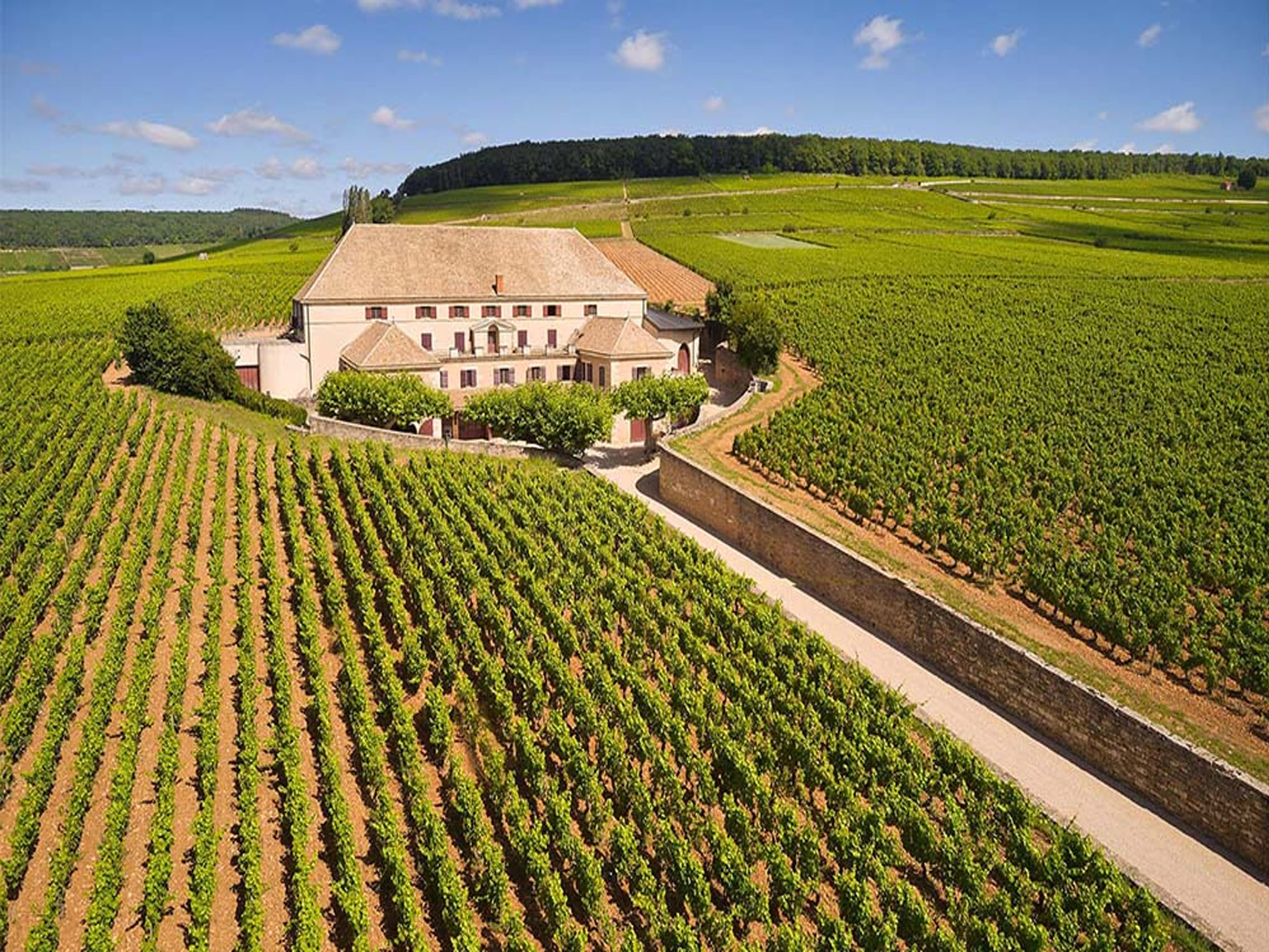 rượu vang château grand bertaud biodynamic