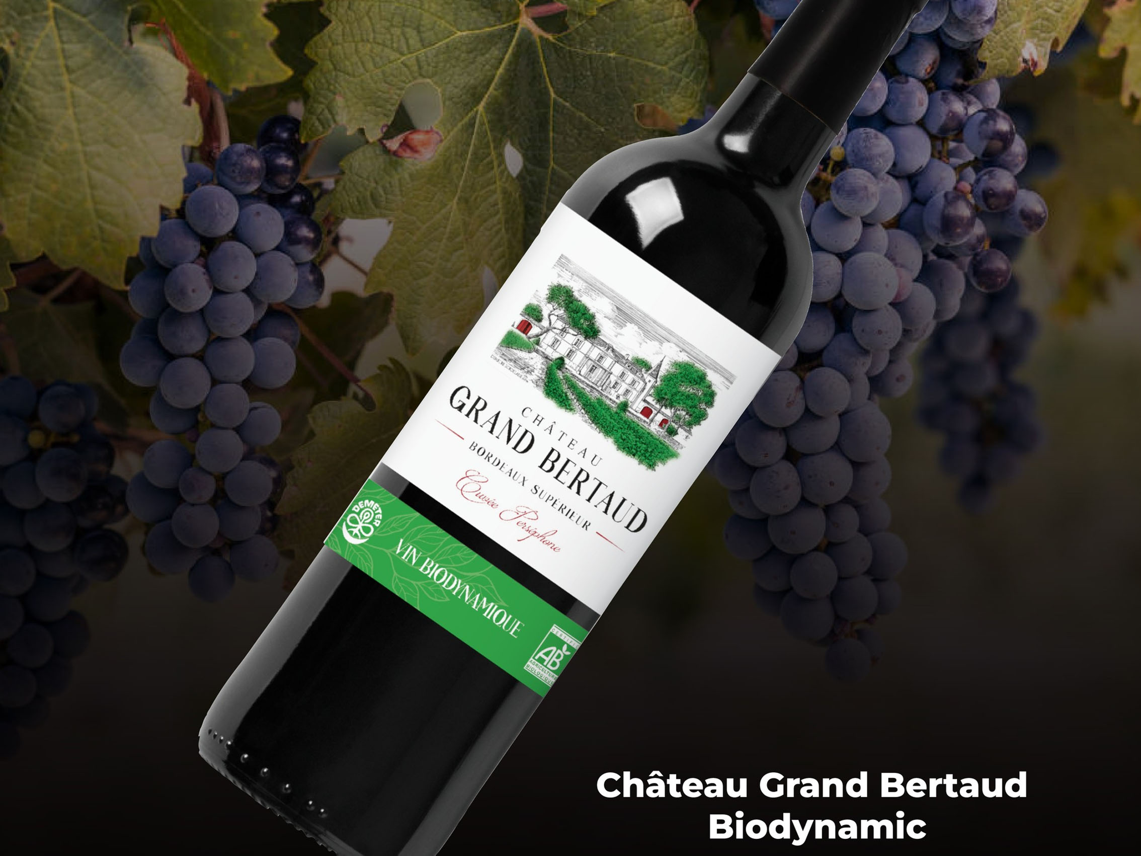 rượu vang château grand bertaud biodynamic