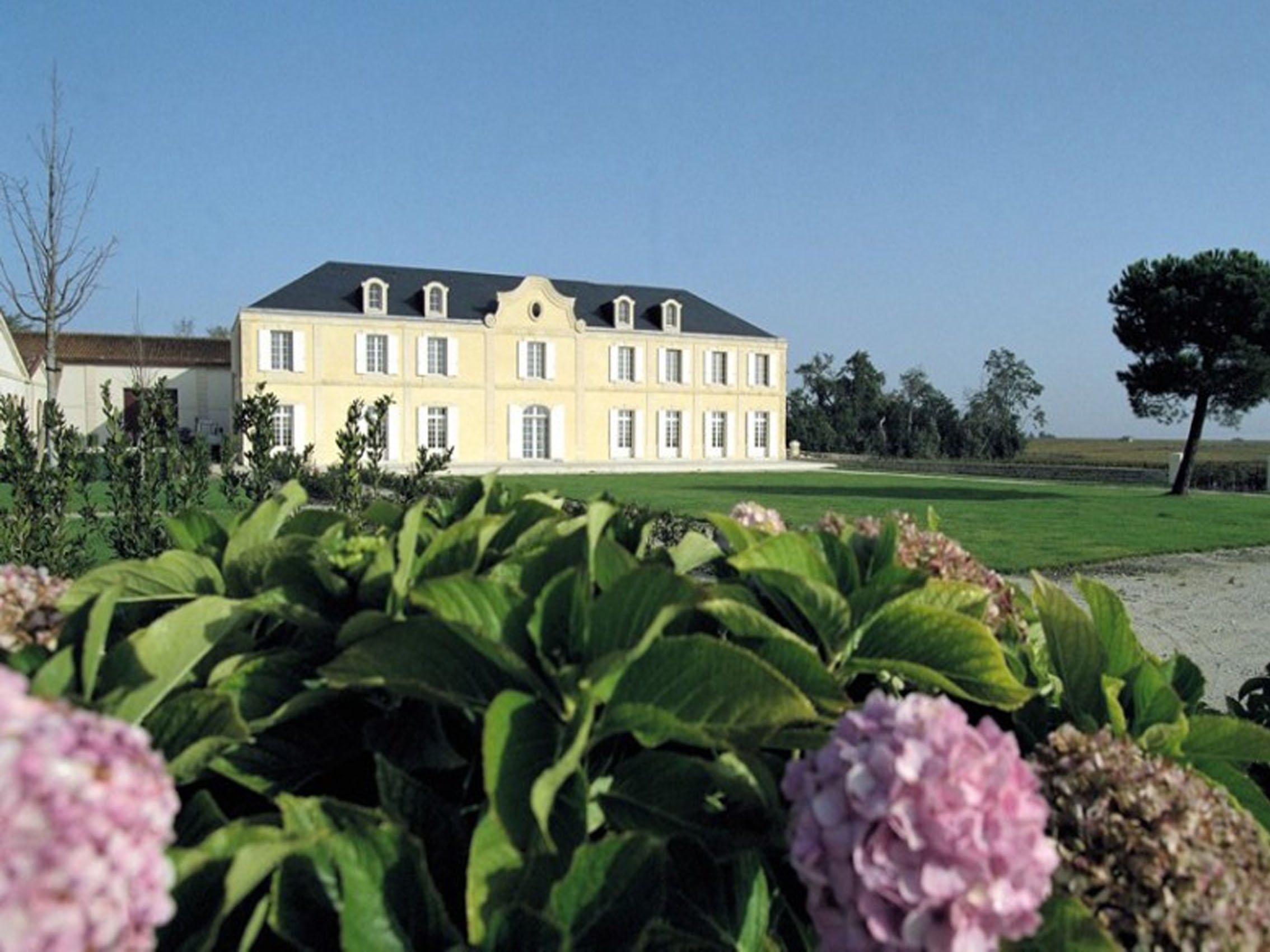 rượu vang château haut- vignoble seguin