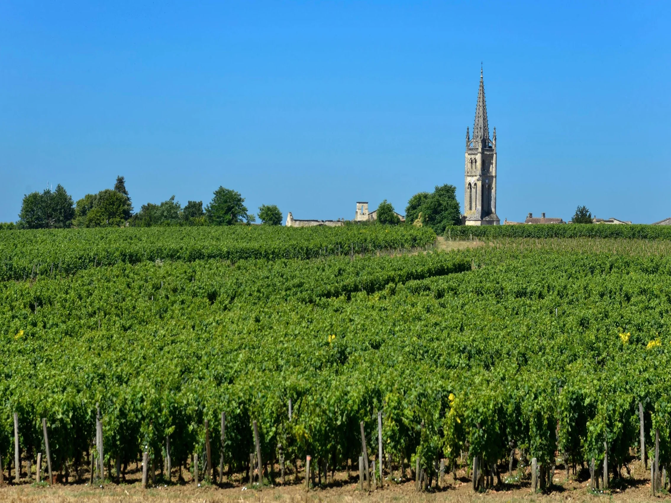 rượu vang château la croix du casse 2010