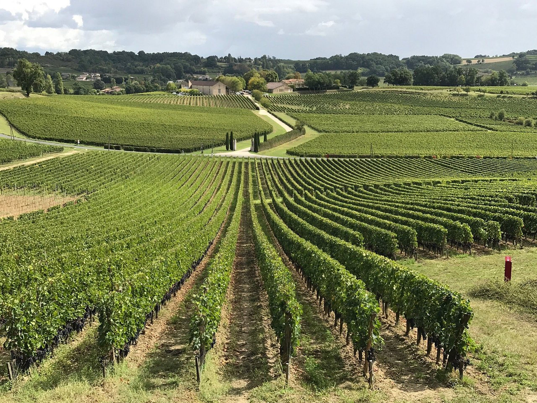 rượu vang château la croix du casse 2015