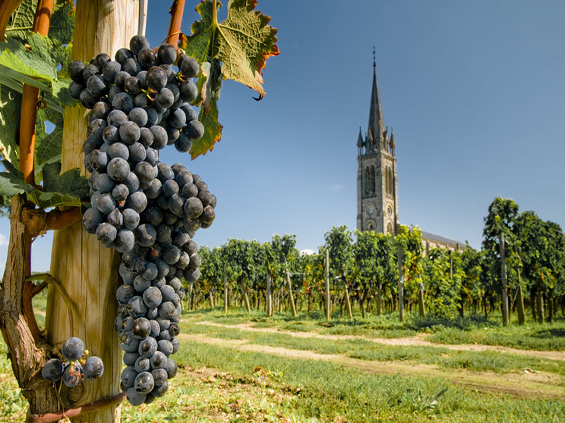 rượu vang château la croix du casse 2015