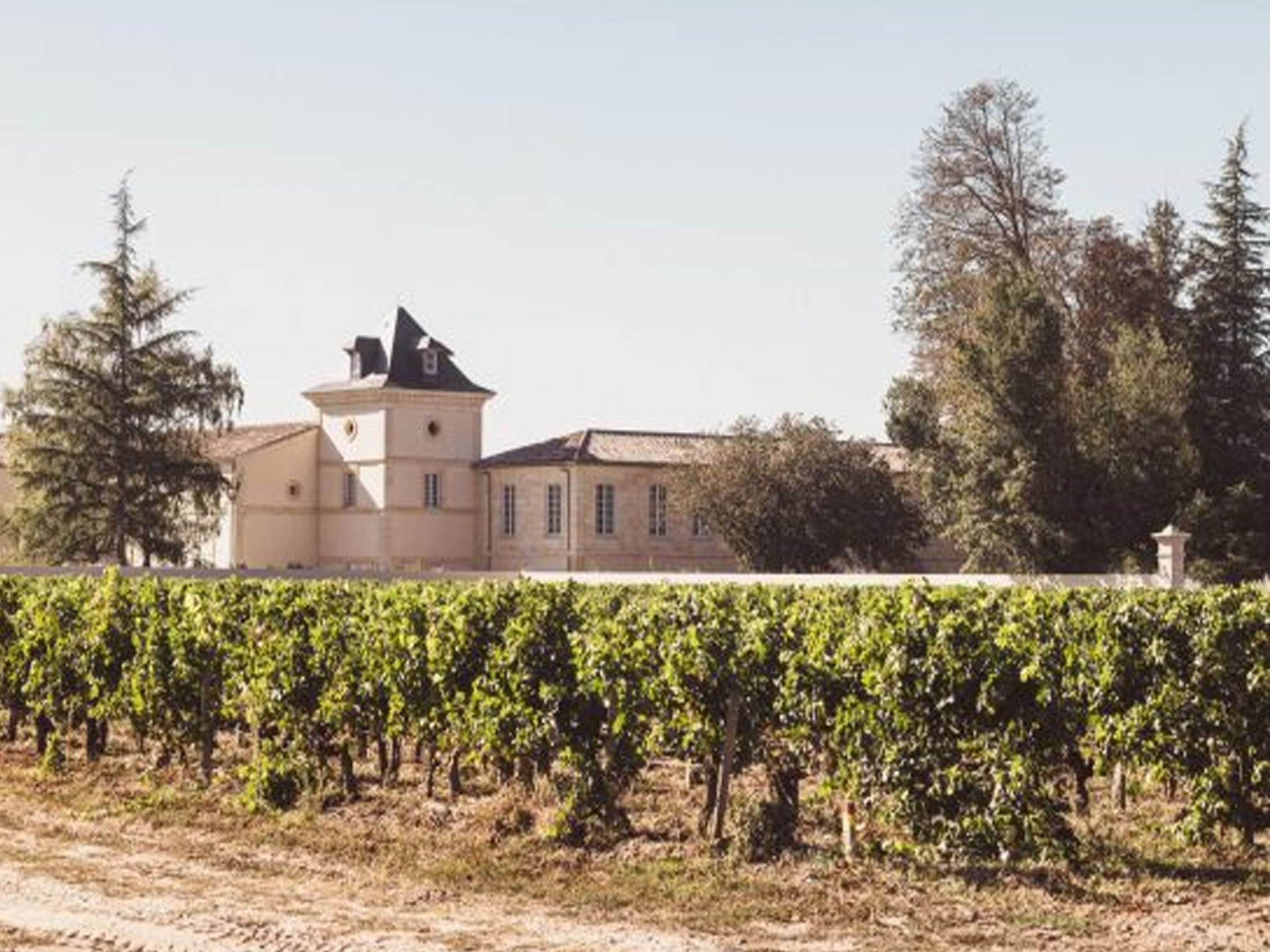 rượu vang château laffitte carcasset - cru bourgeois