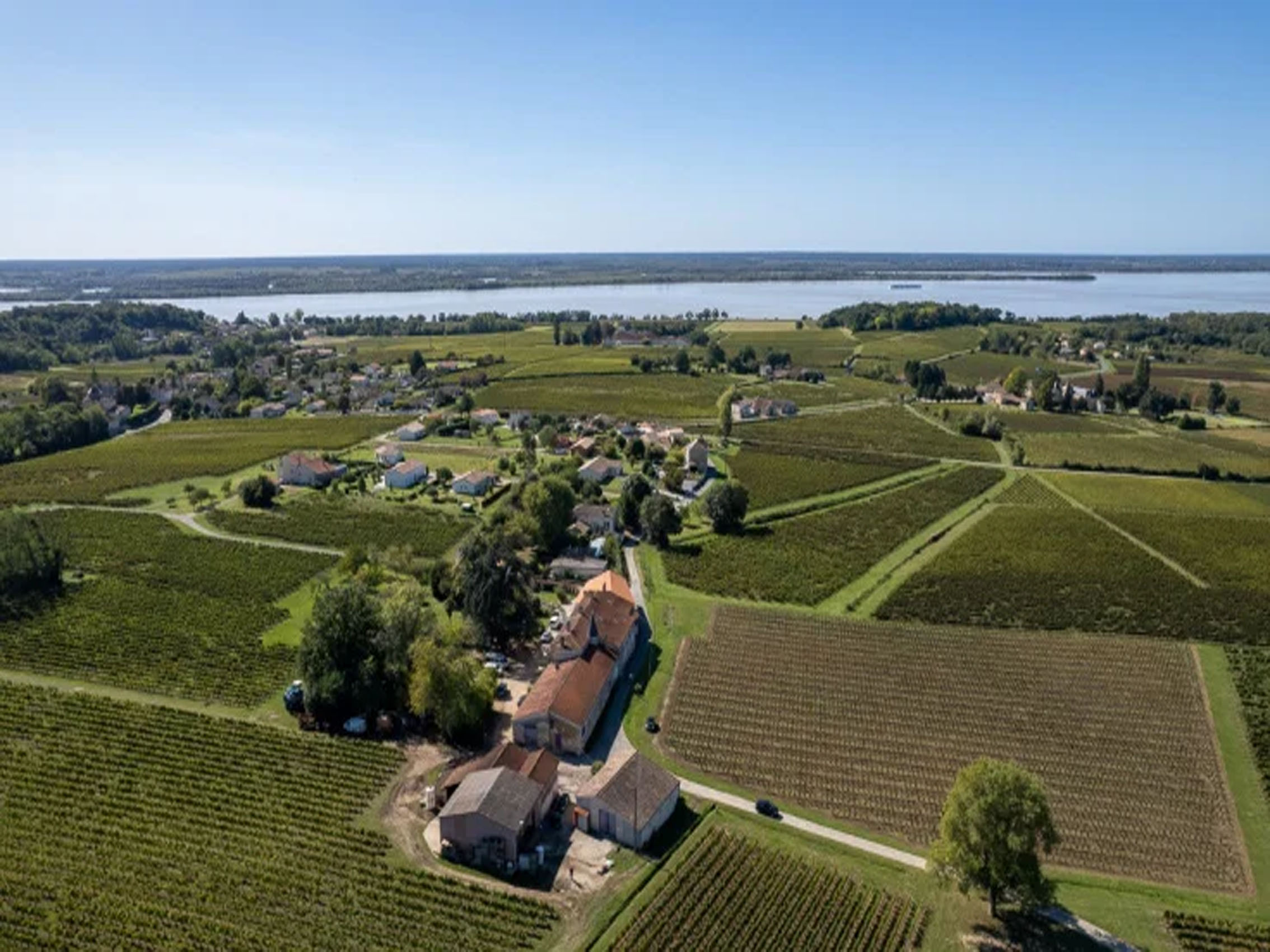 rượu vang château laroche joubert