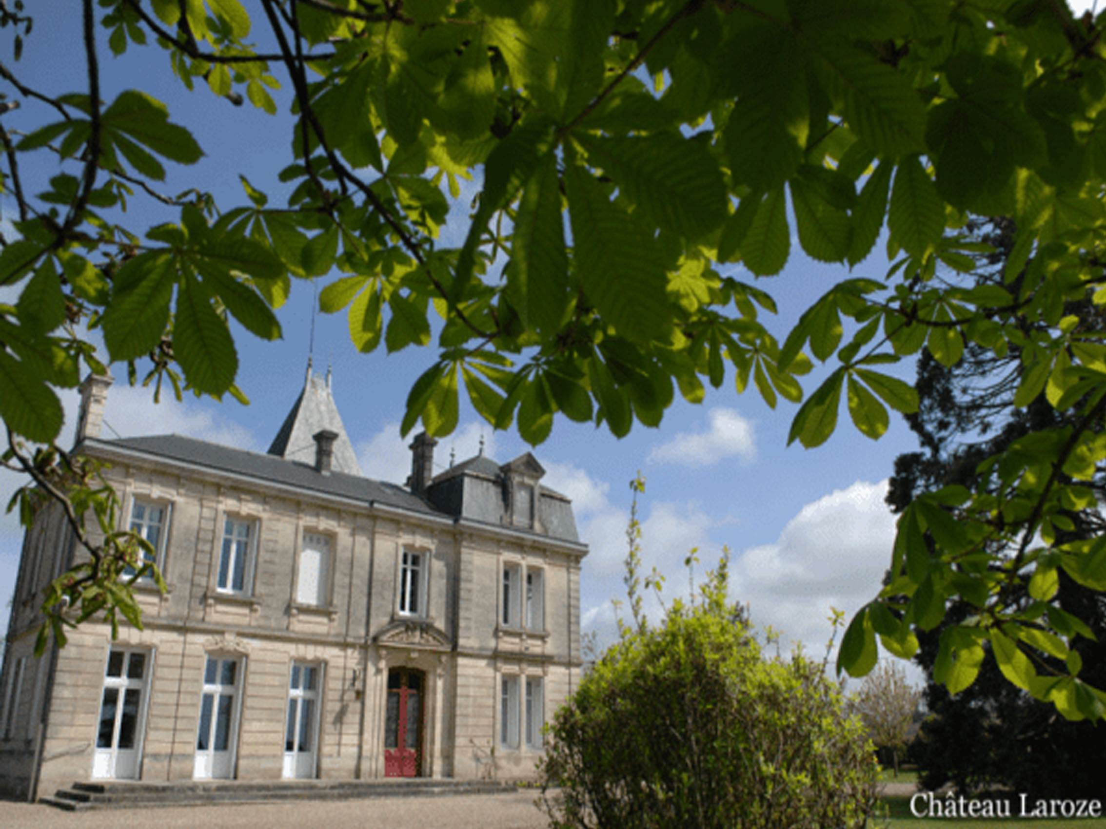 rượu vang château laroze saint émilion grand cru classé 2019