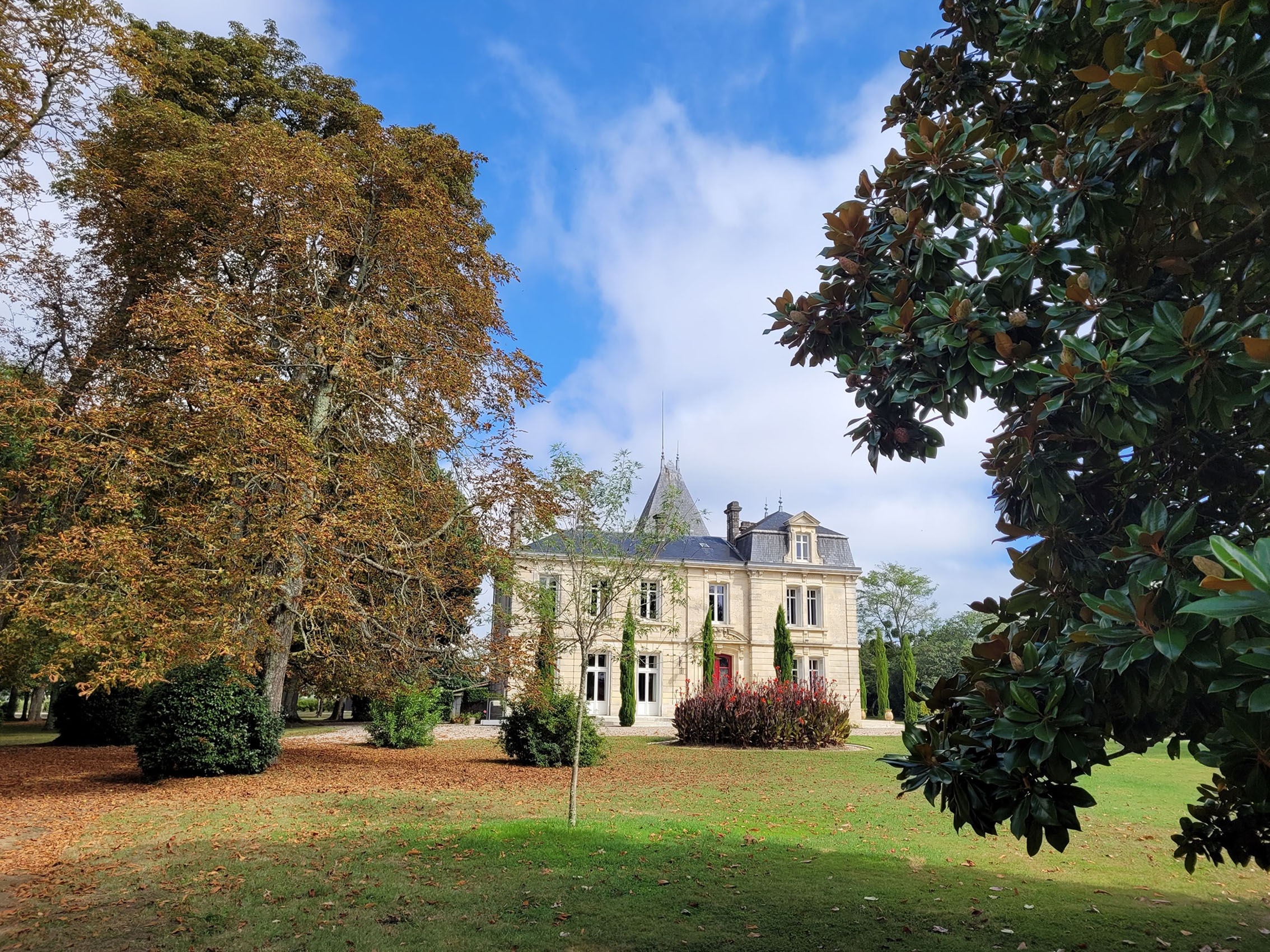 rượu vang château laroze saint émilion grand cru classé 2020