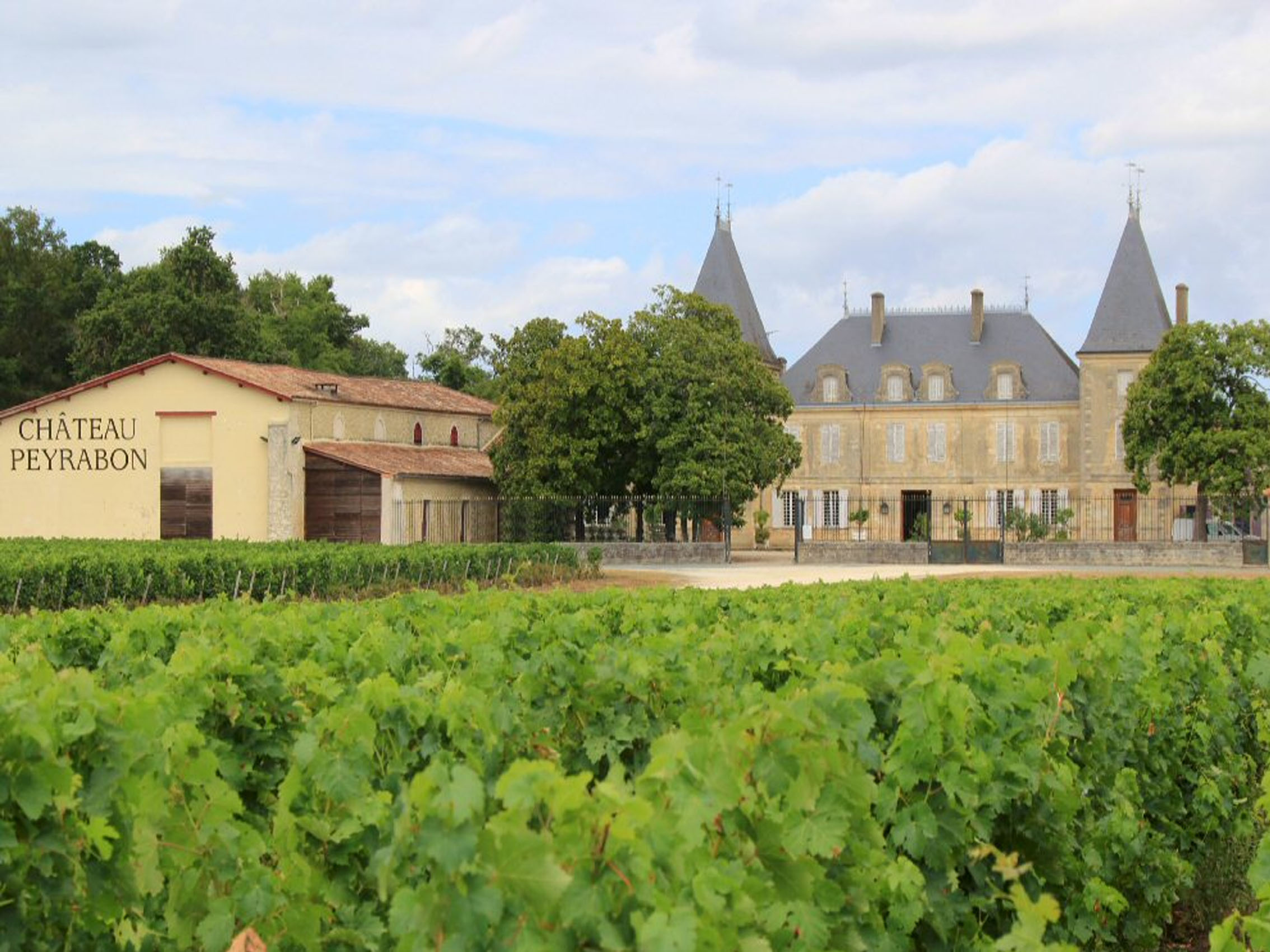 rượu vang château peyrabon cru bourgeois