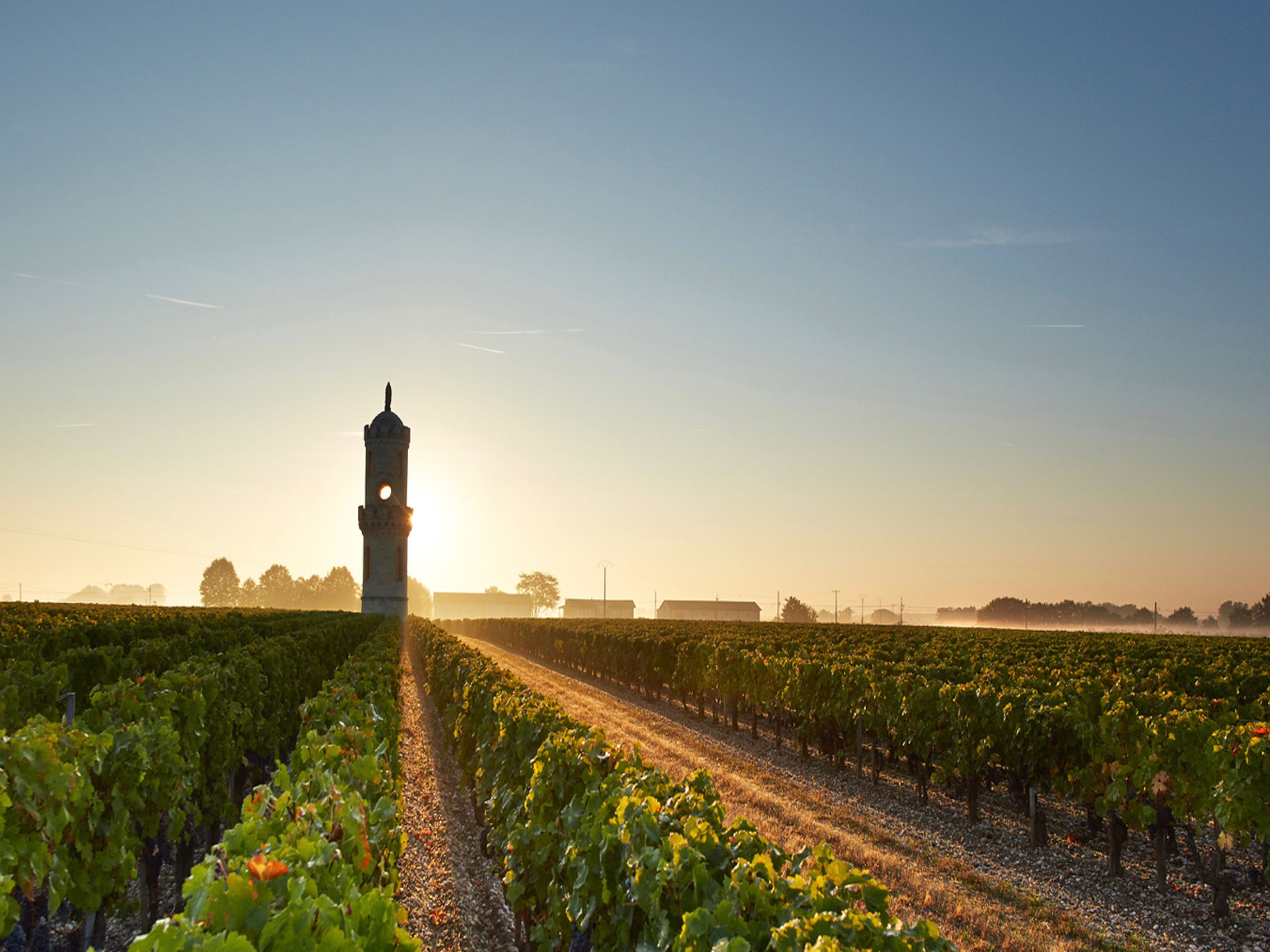 rượu vang château phélan ségur 2014