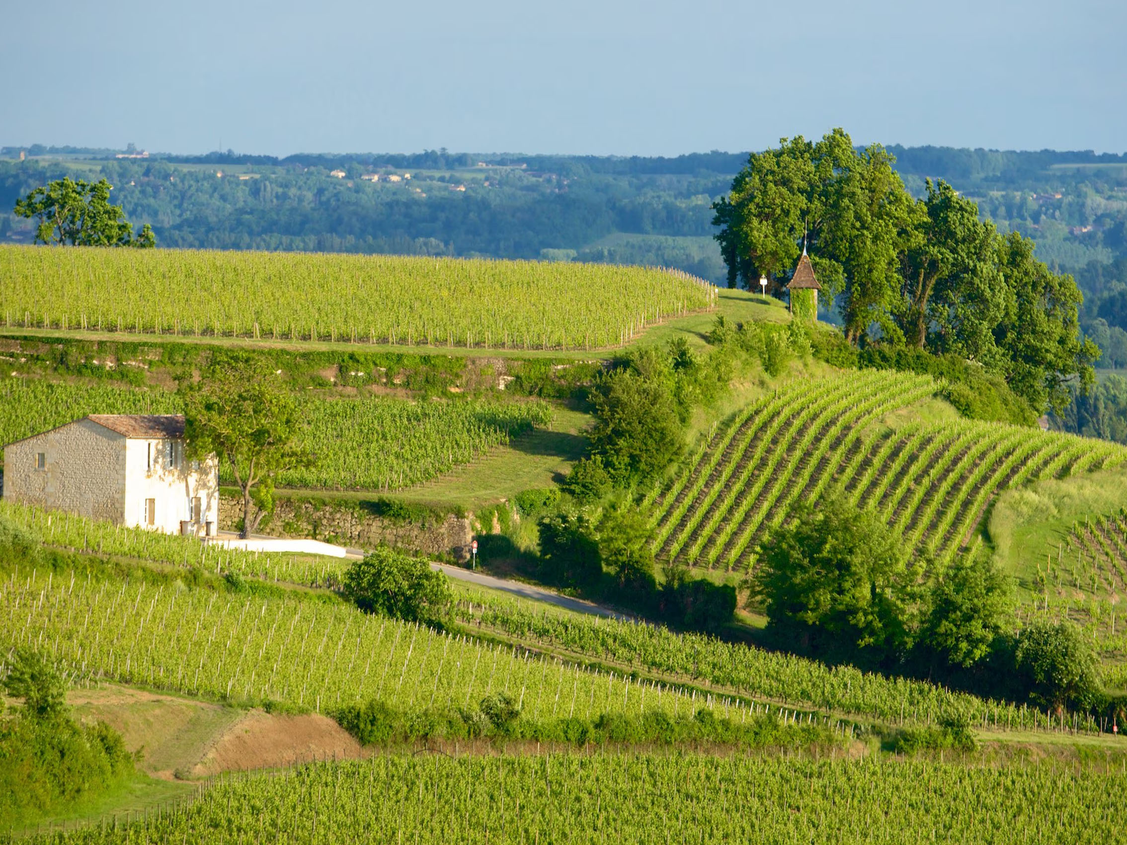 rượu vang château phélan ségur 2016