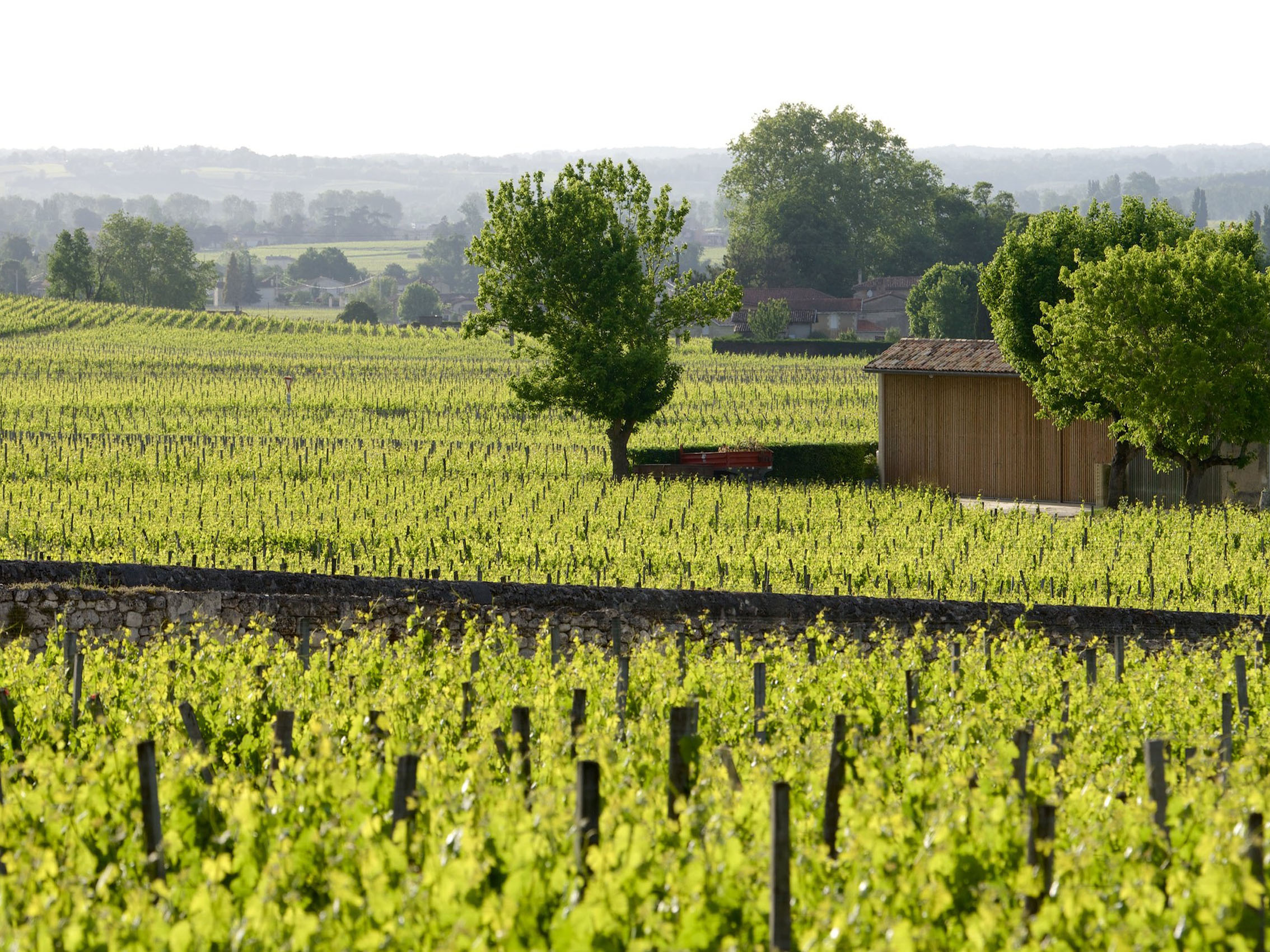 rượu vang château phélan ségur 2017