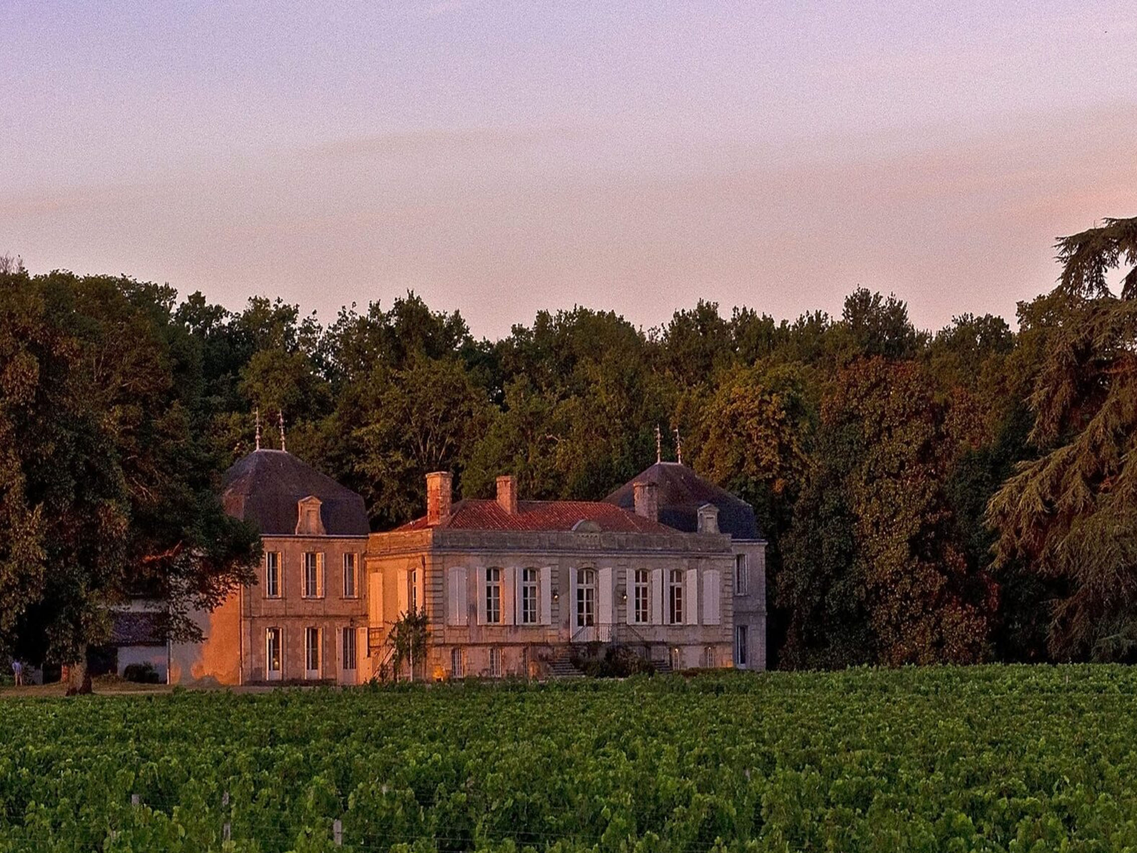 rượu vang château picque caillou