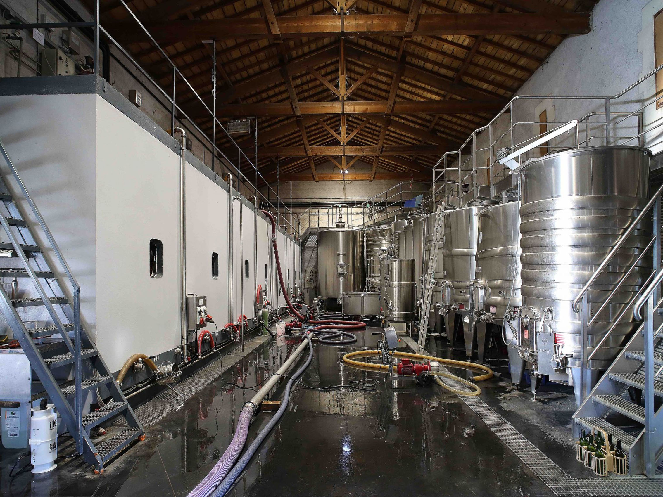 rượu vang château tour bayard