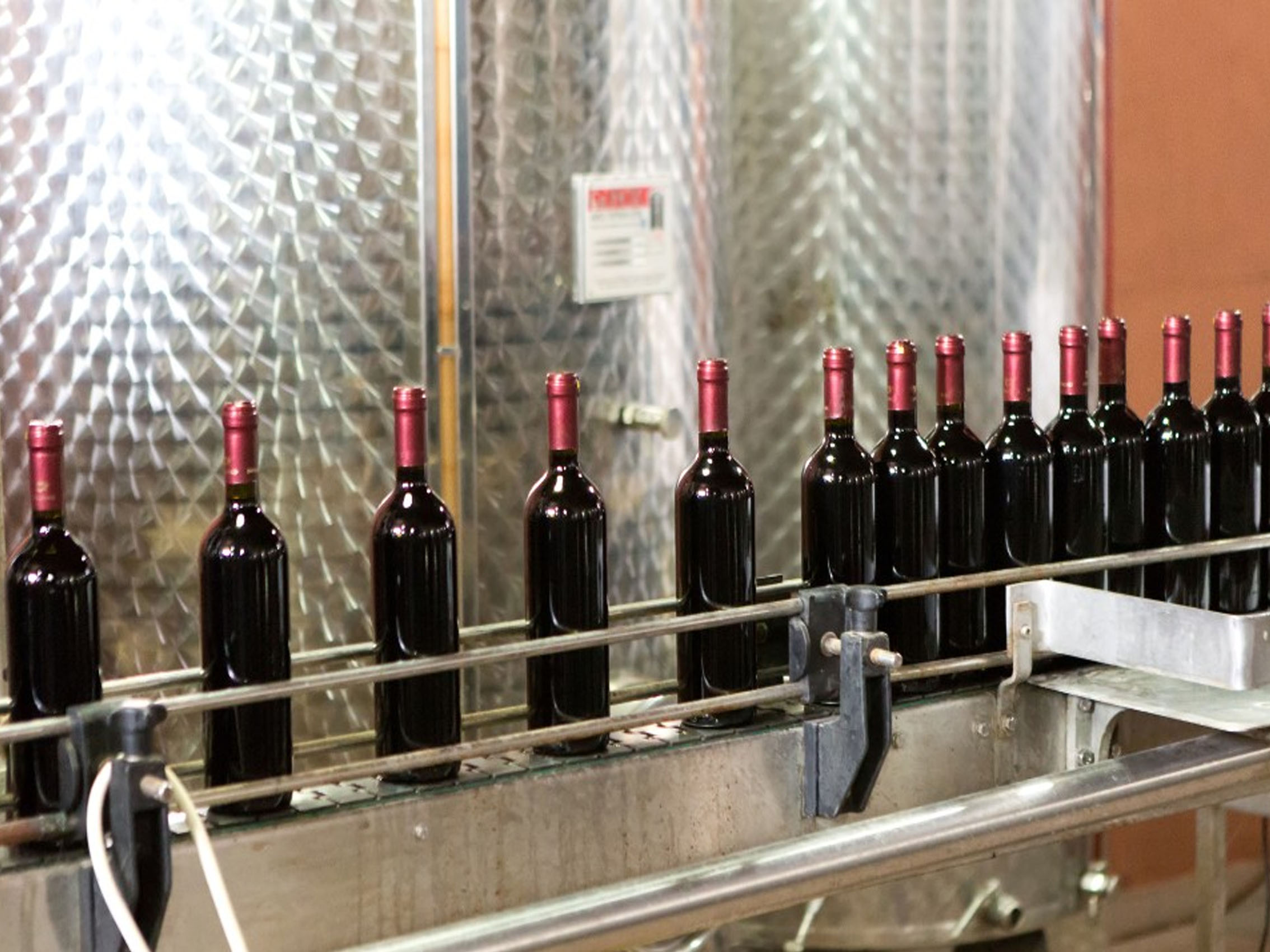 rượu vang château tour massac