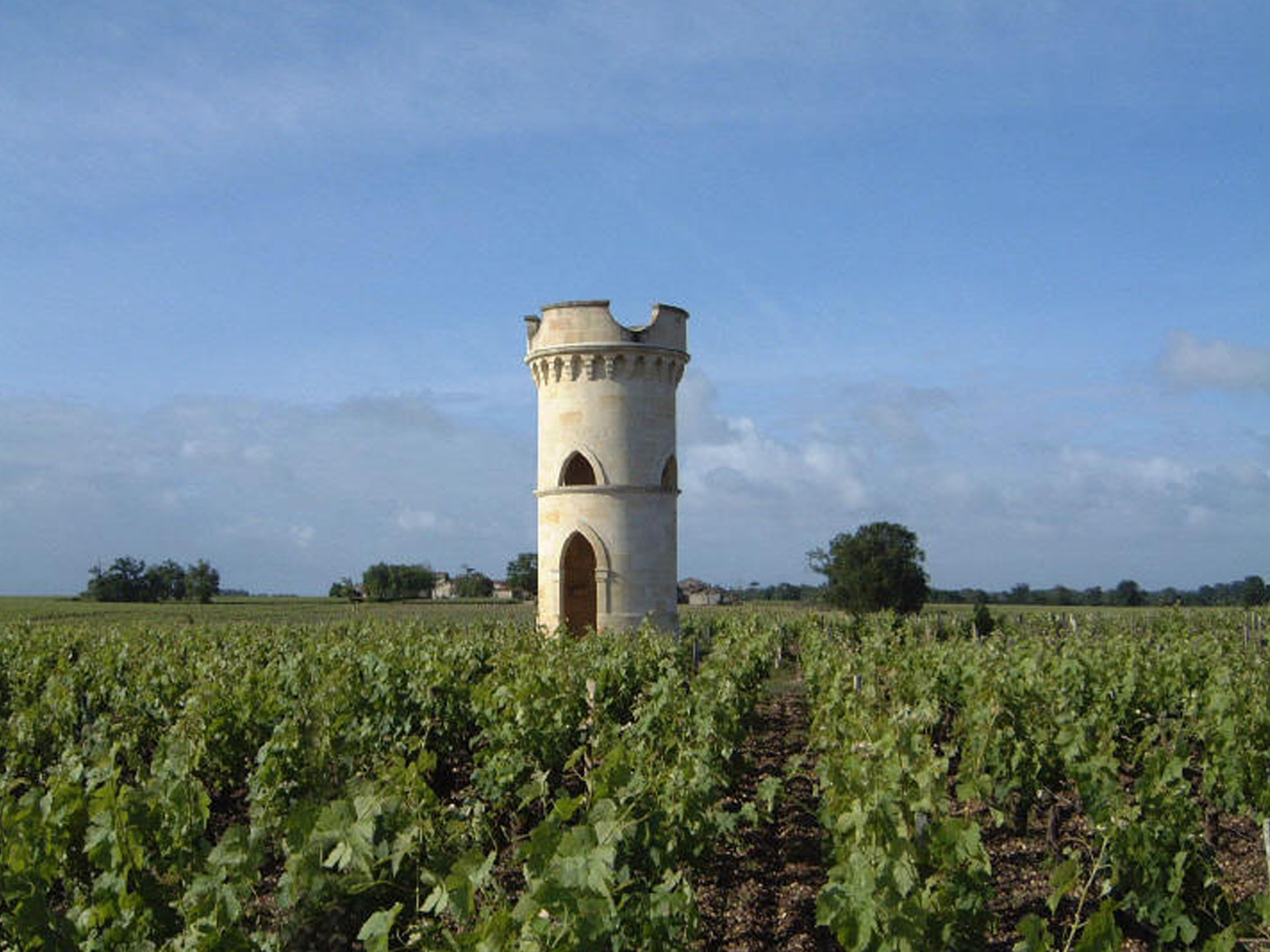 rượu vang château tour massac