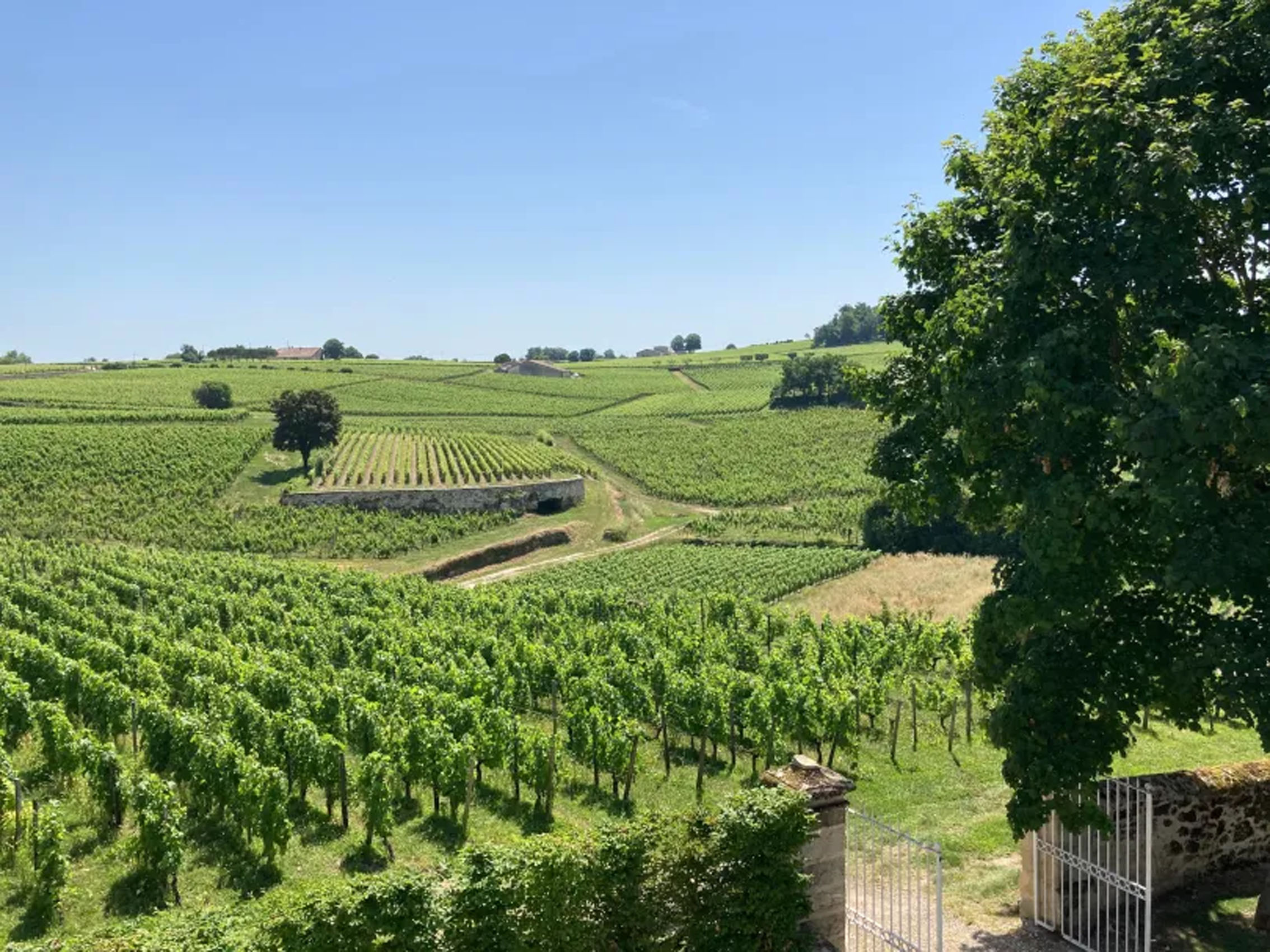 rượu vang château trotte vieille 2006