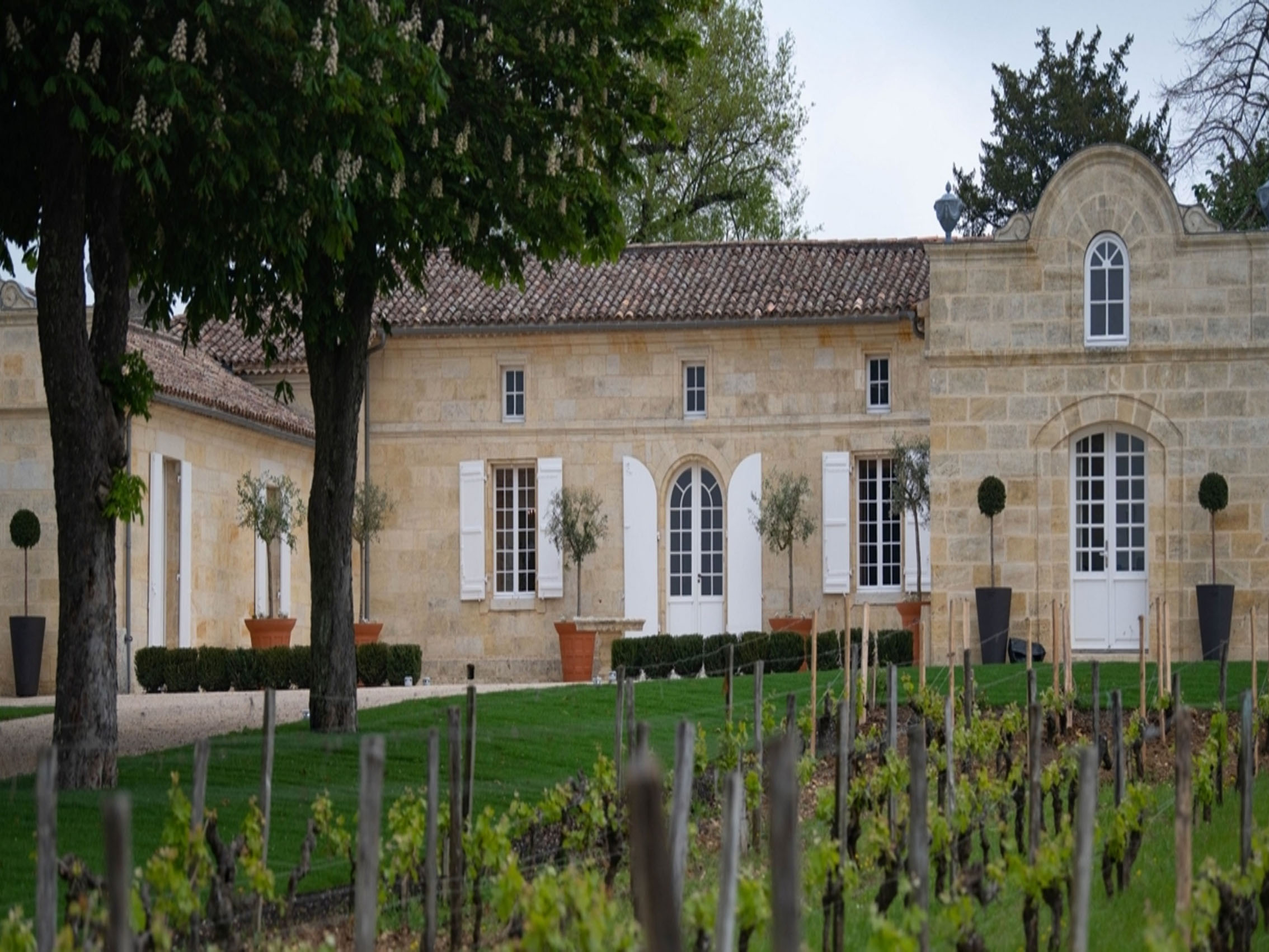 rượu vang château trotte vieille 2011