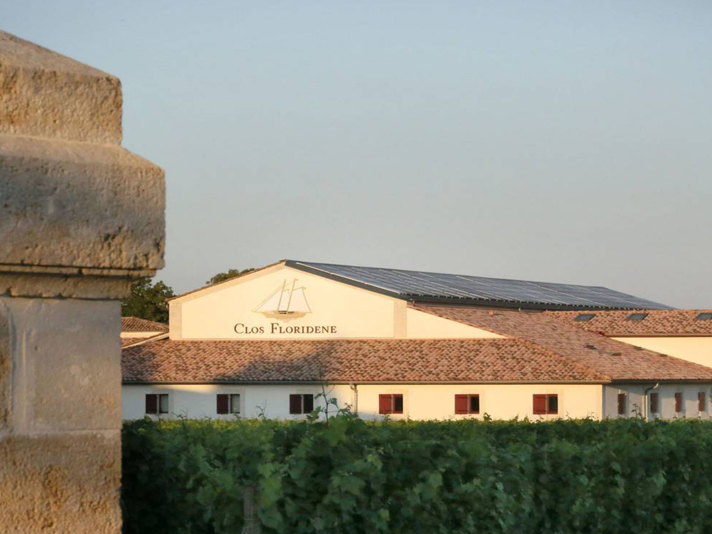 rượu vang clos floridène blanc