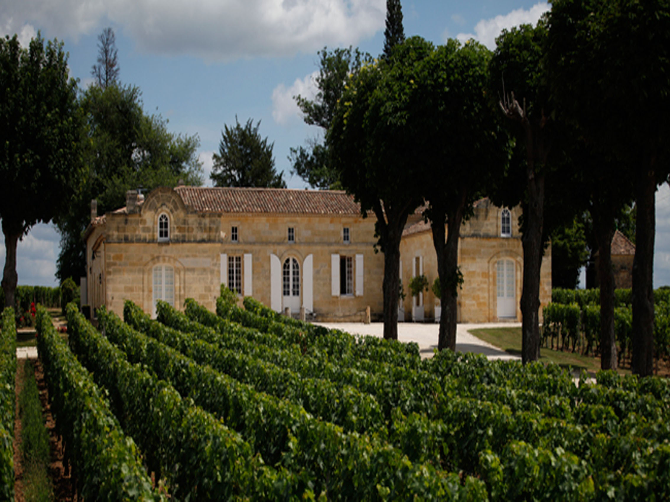 rượu vang la dame de trotte vieille