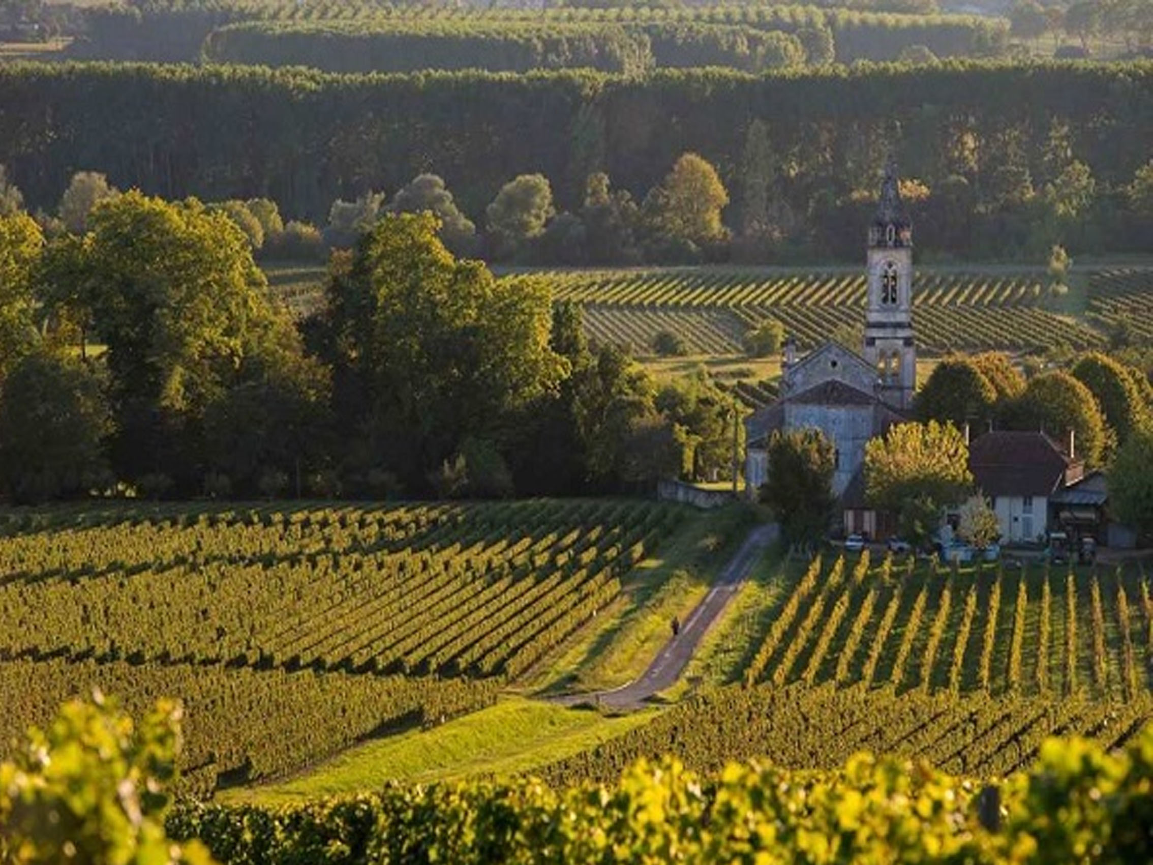 rượu vang la valinière