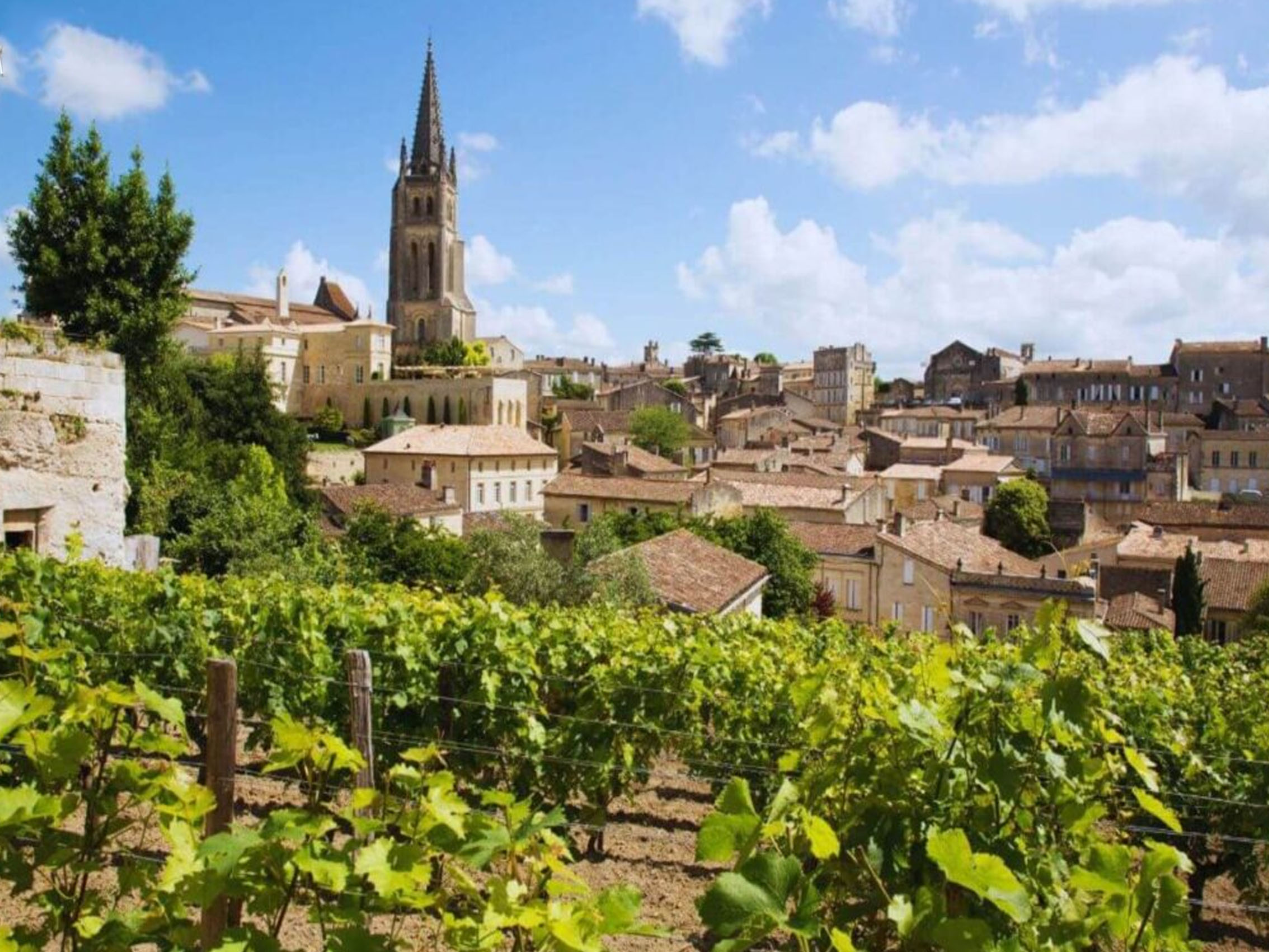 rượu vang lady laroze saint émilion grand cru