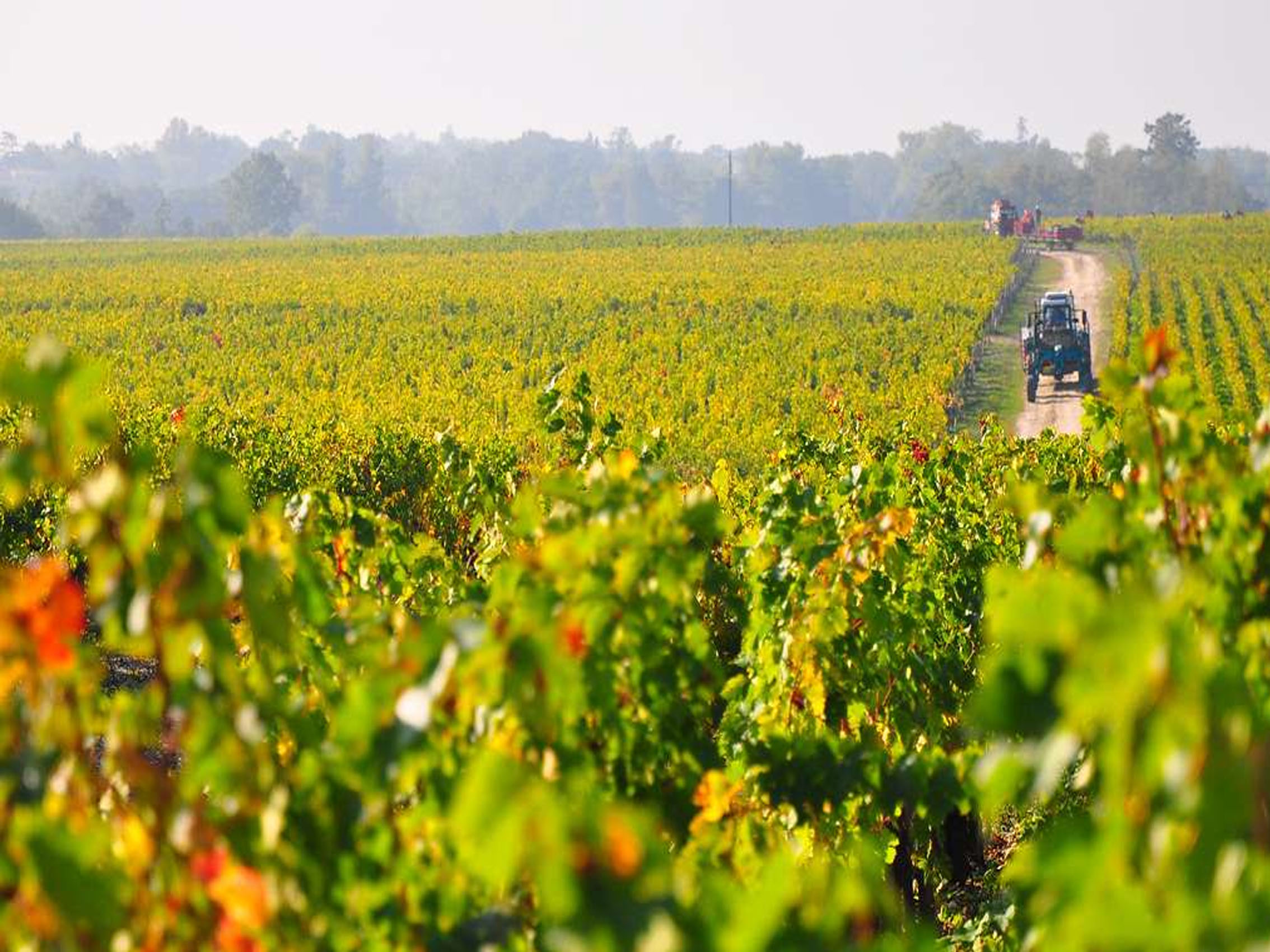 rượu vang les chemins de la croix du casse