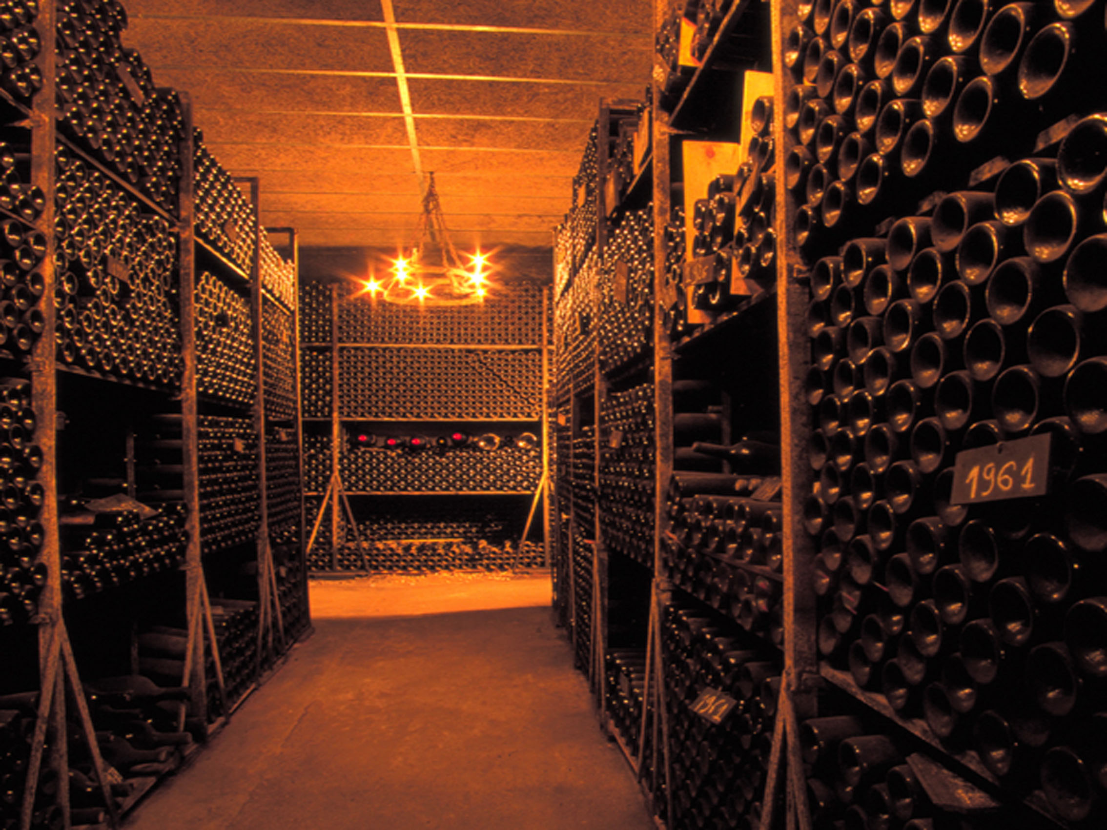 rượu vang les lions de batailley