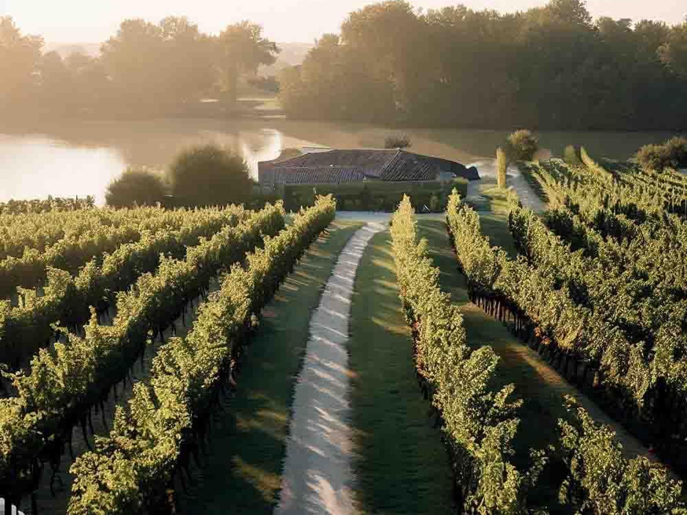 rượu vang pol remy ice rosé