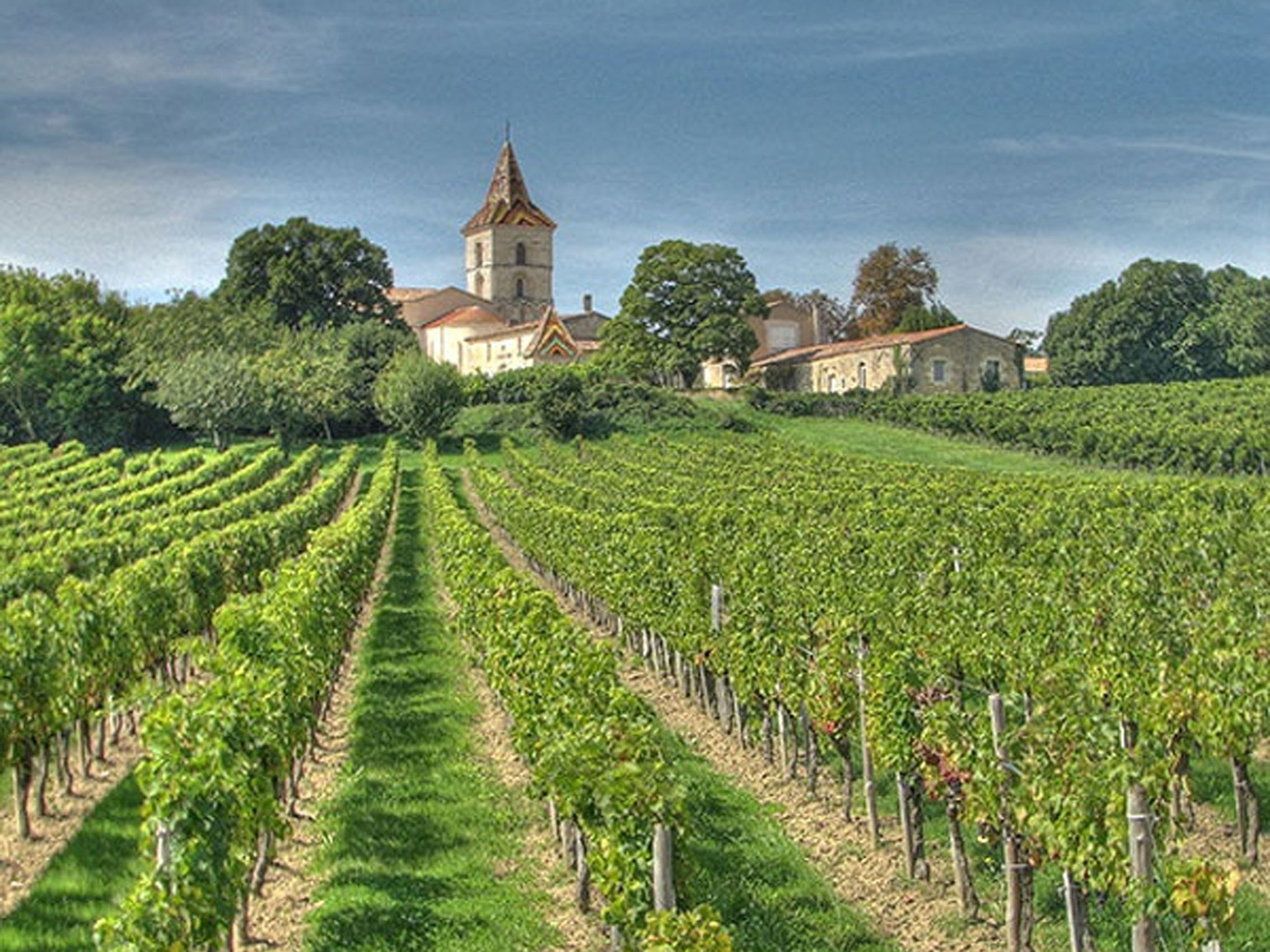 rượu vang rivage blanc