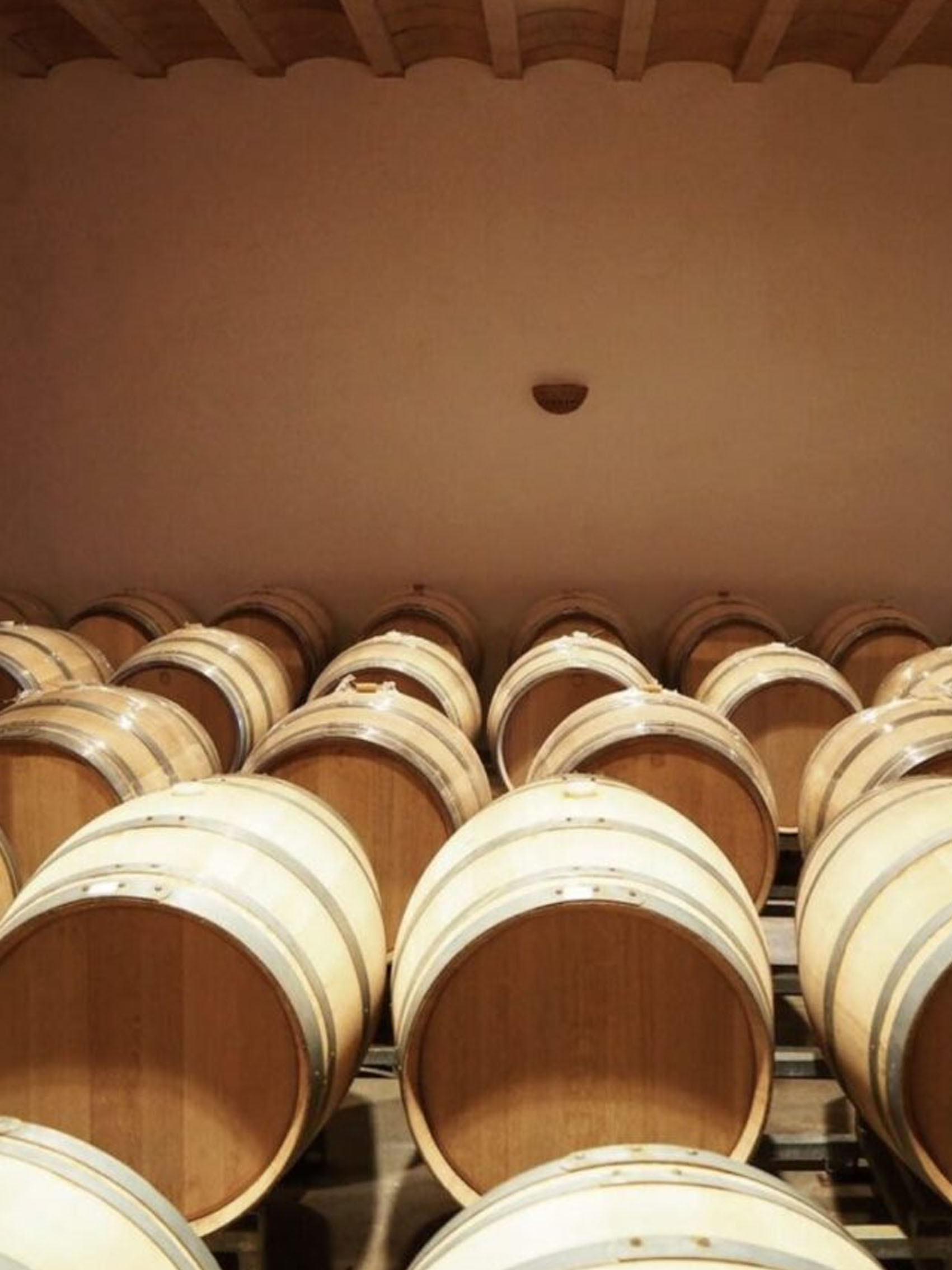 rượu vang rivage blanc