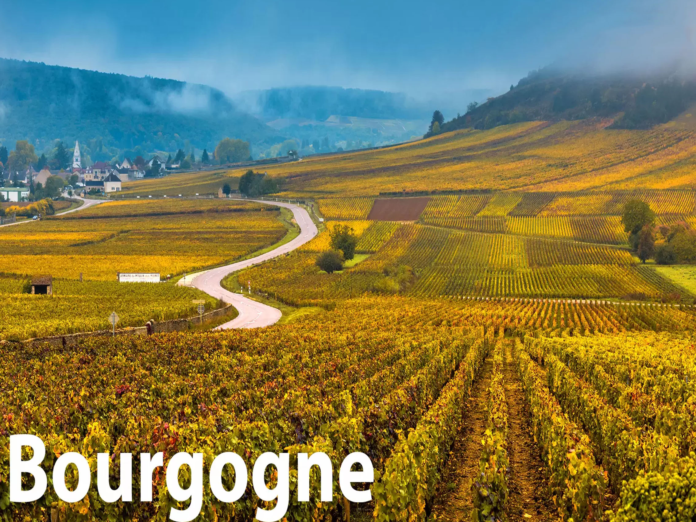 rượu vang veuve du vernay ice rosé