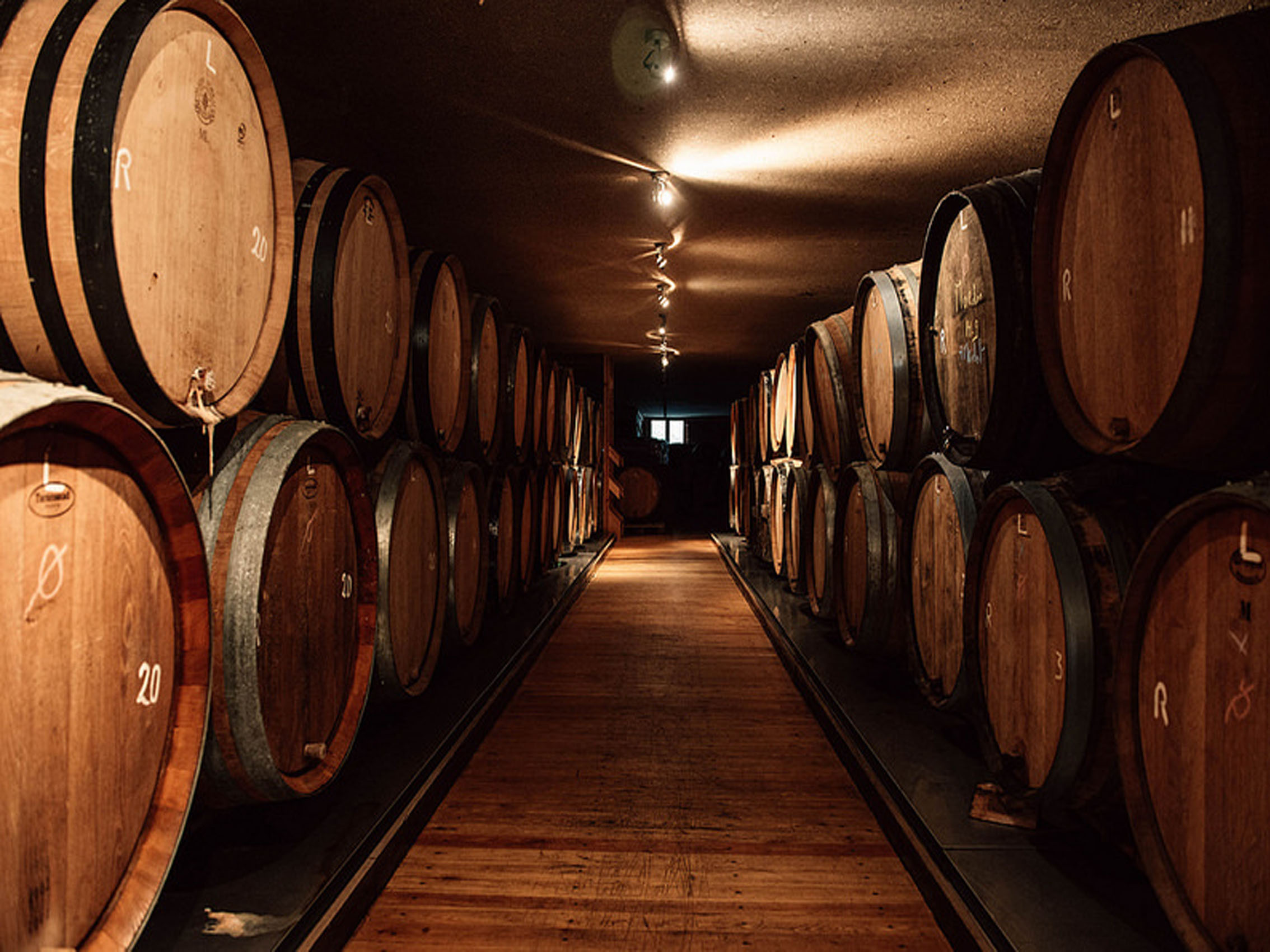 bia bỉ goliath blond