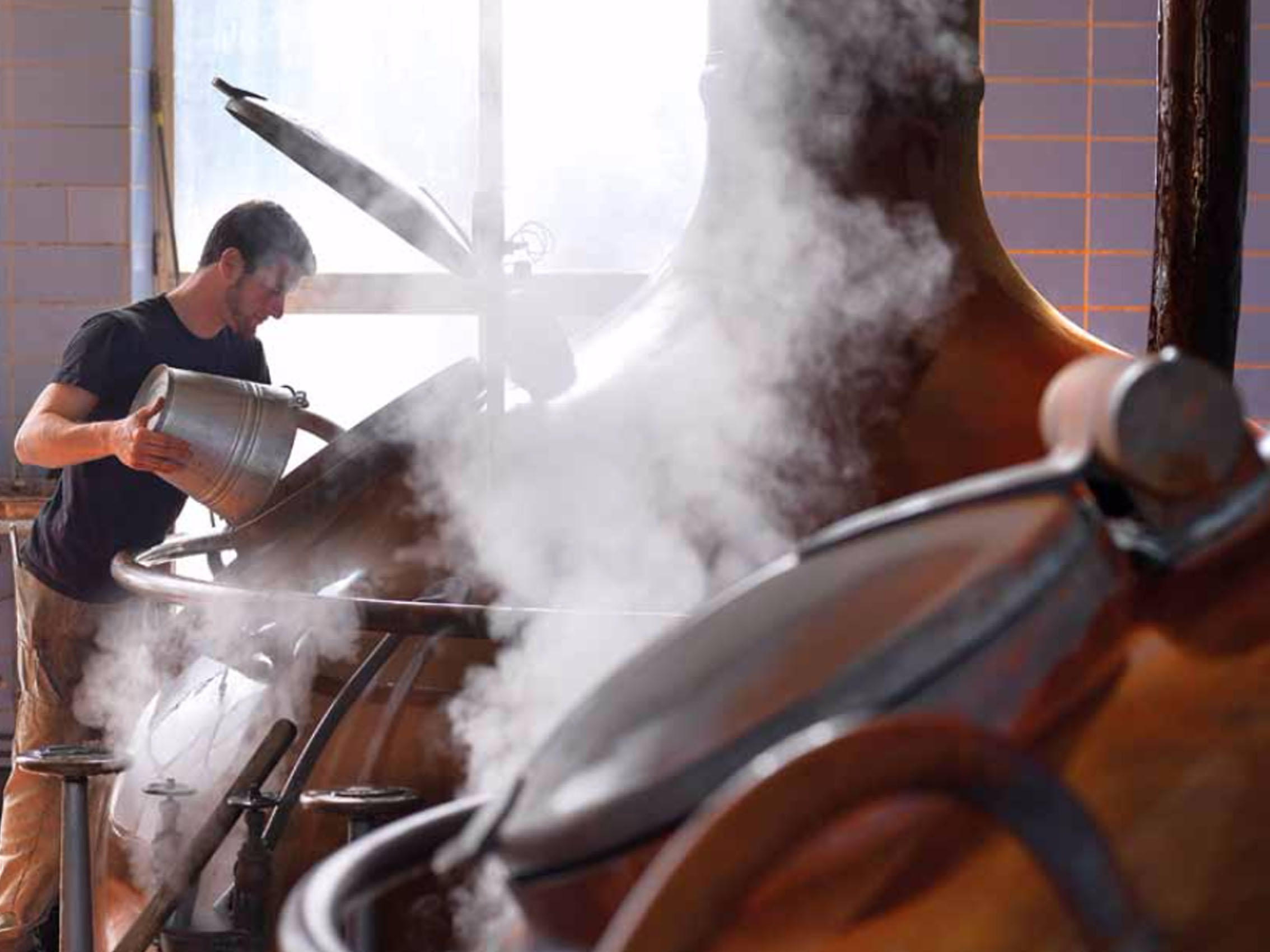 bia bỉ westmalle tripel