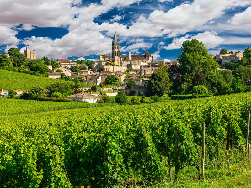 rượu vang aromatik bordeaux