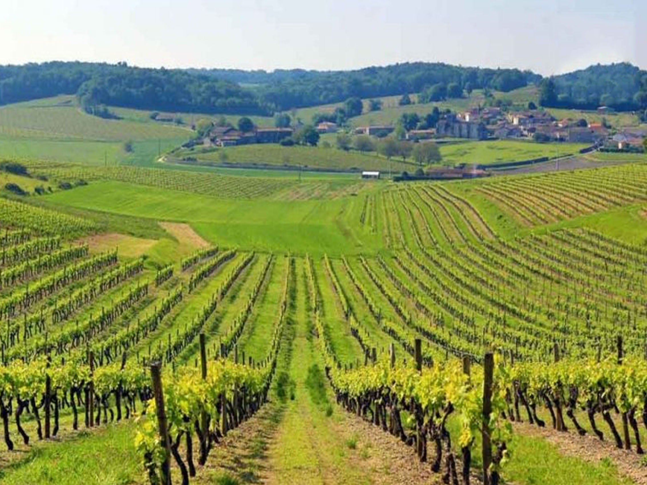 rượu vang barons de luze bordeaux oak-barrel aged