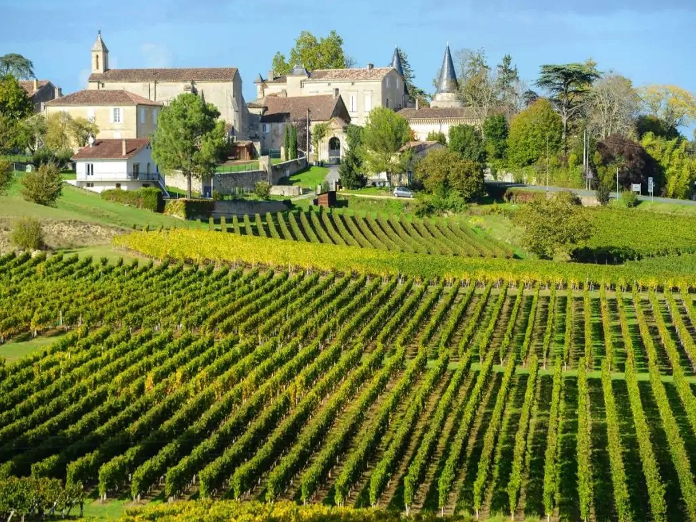 rượu vang château cazaumartin