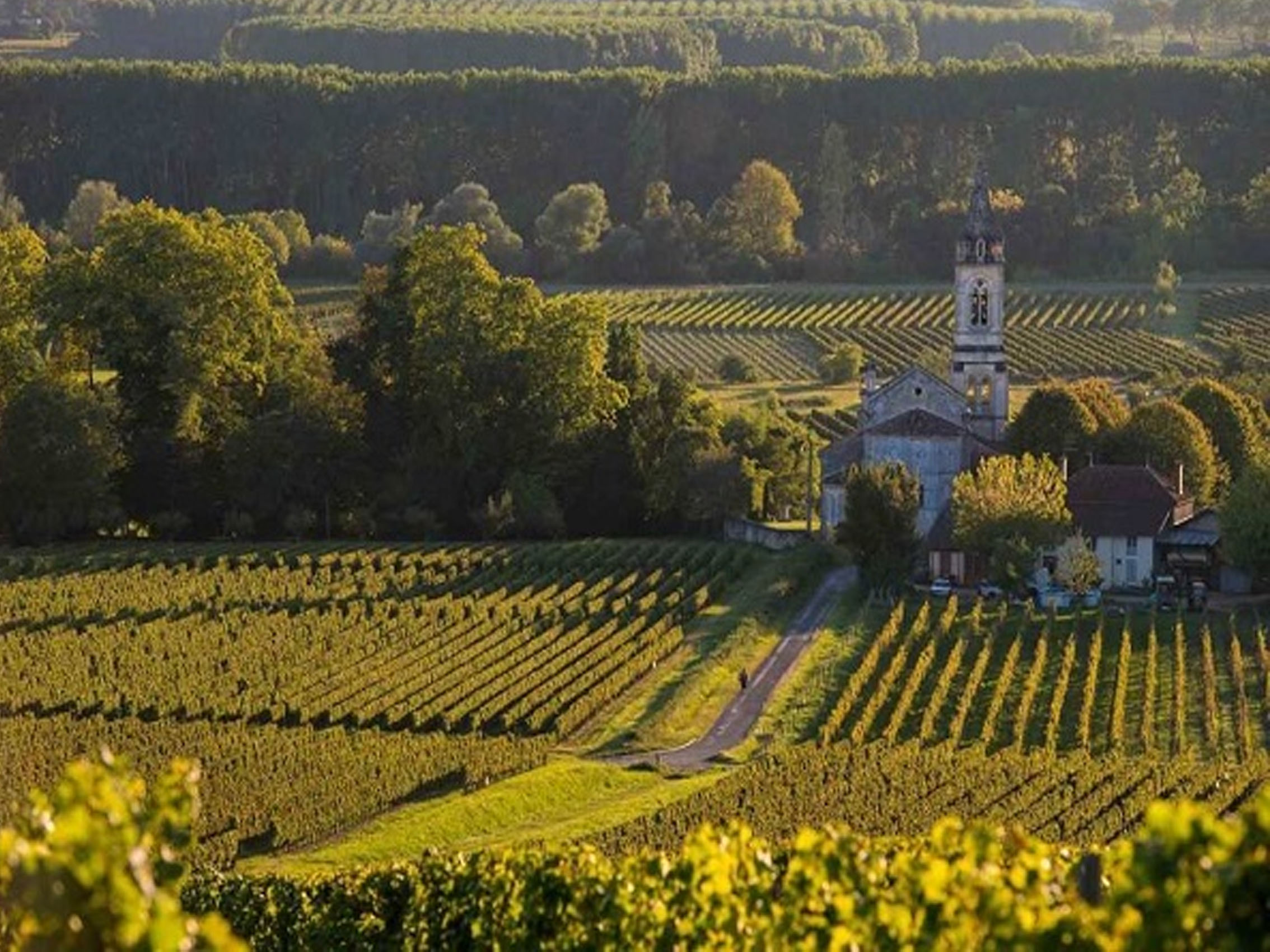 rượu vang château floreal laguens reserve messidor