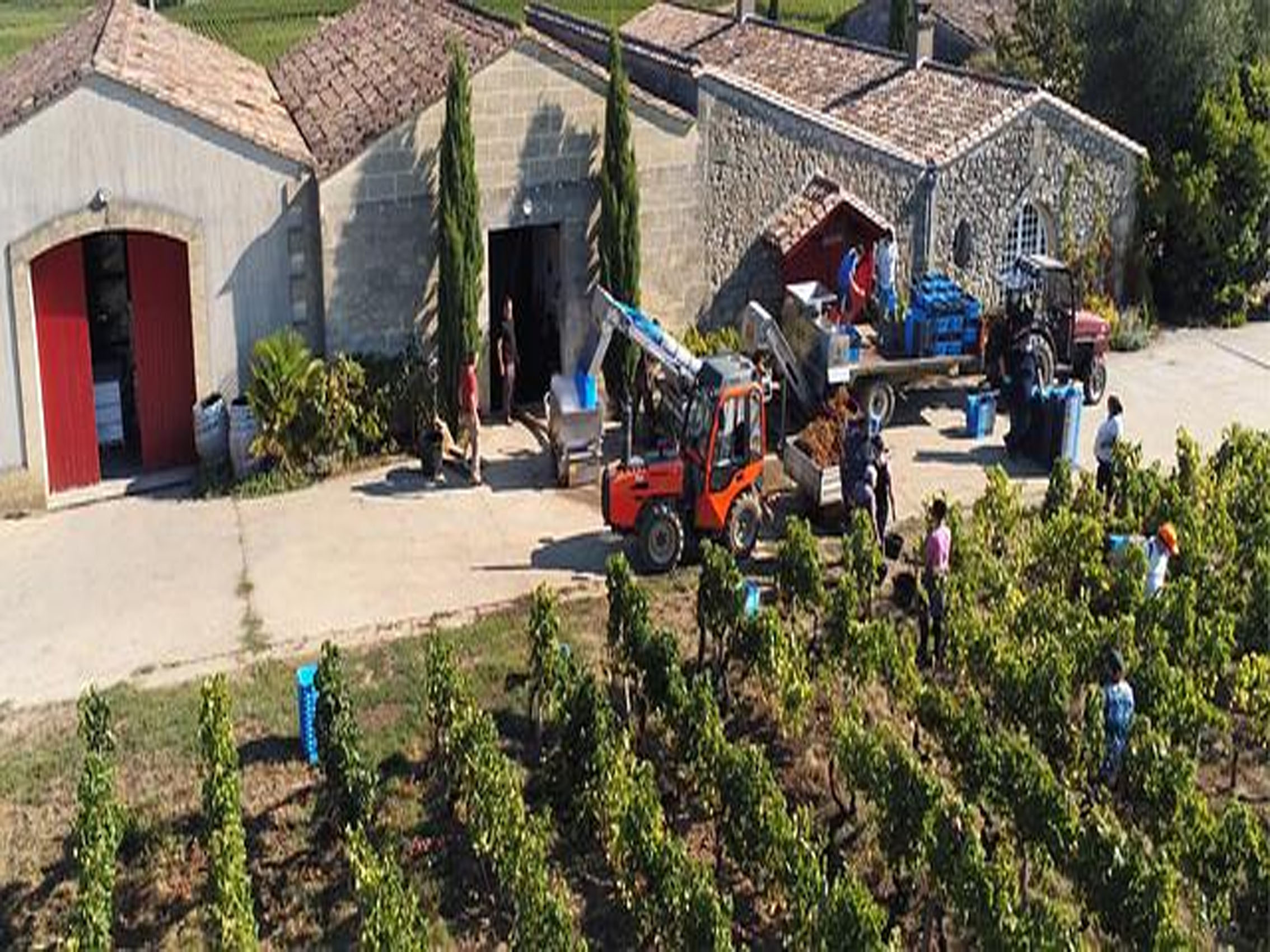 rượu vang château haut veyrac