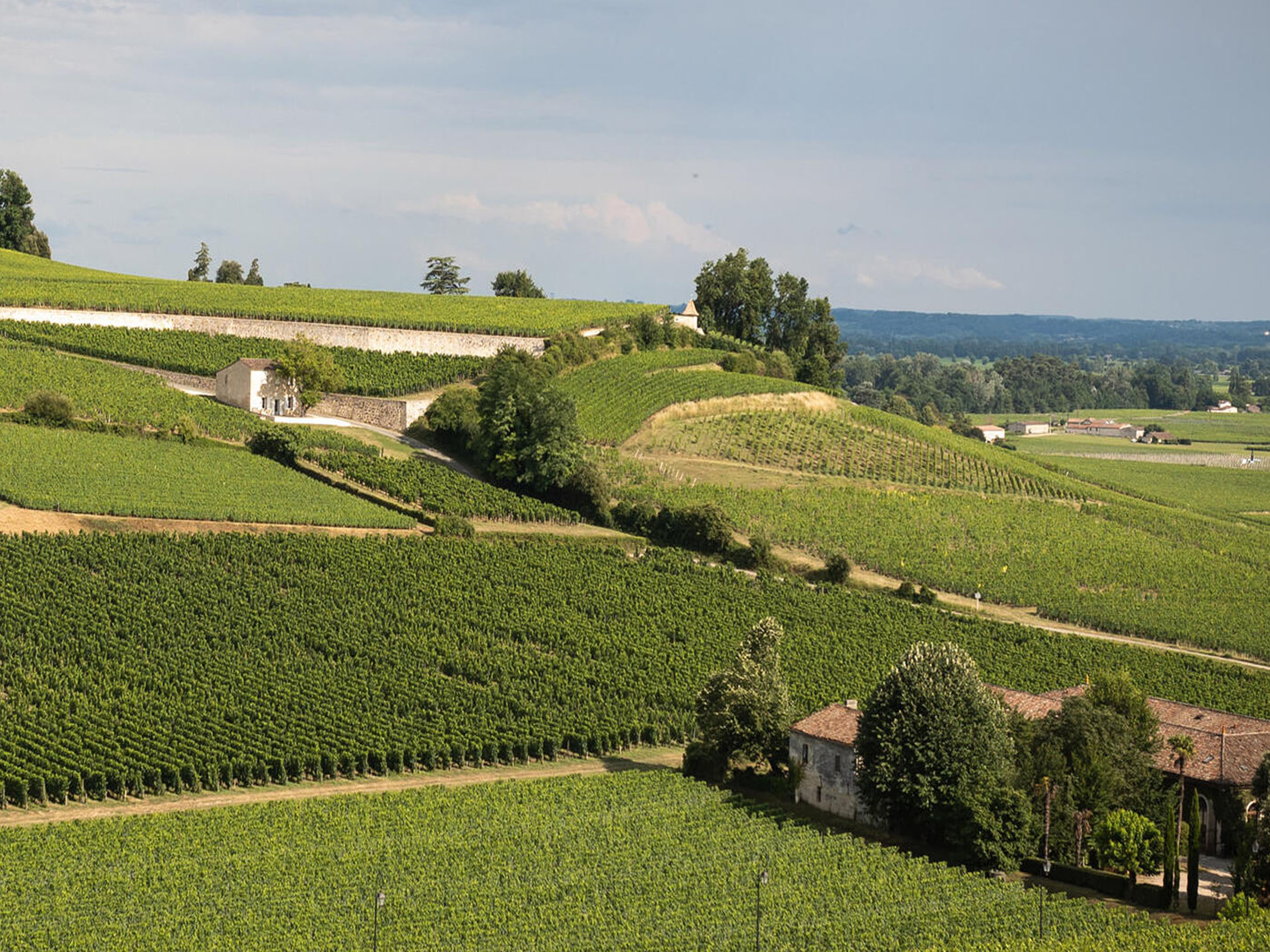 rượu vang château la croix des ducs