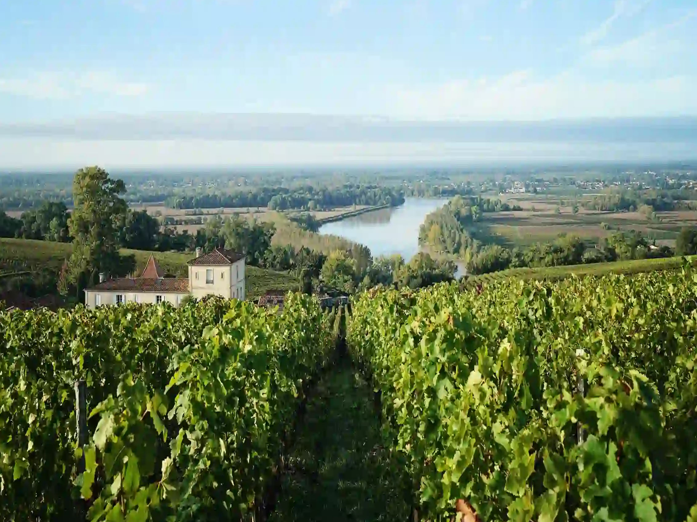 rượu vang château la raze beauvallet