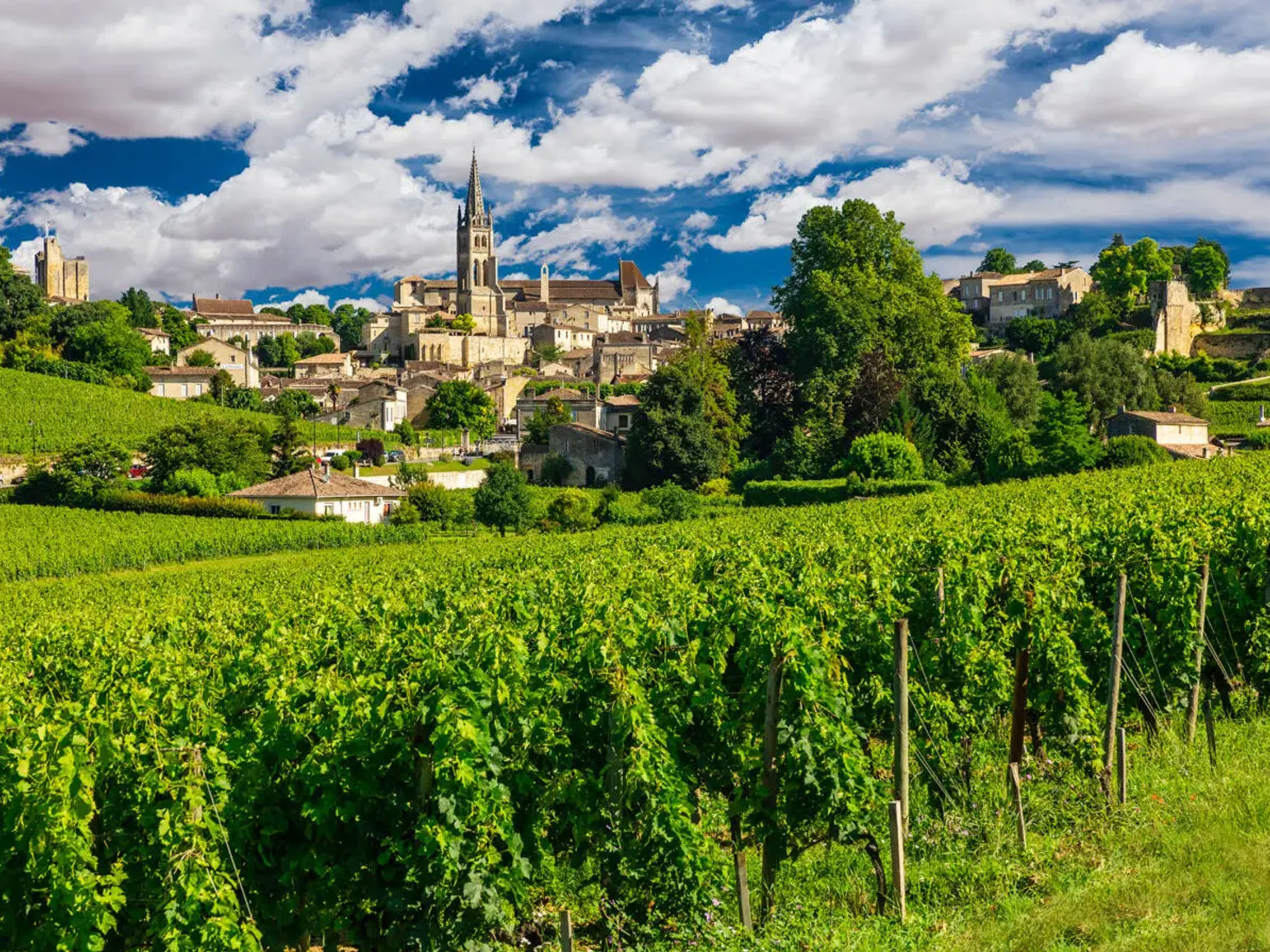 rượu vang château la rose bellevue cuvée secret