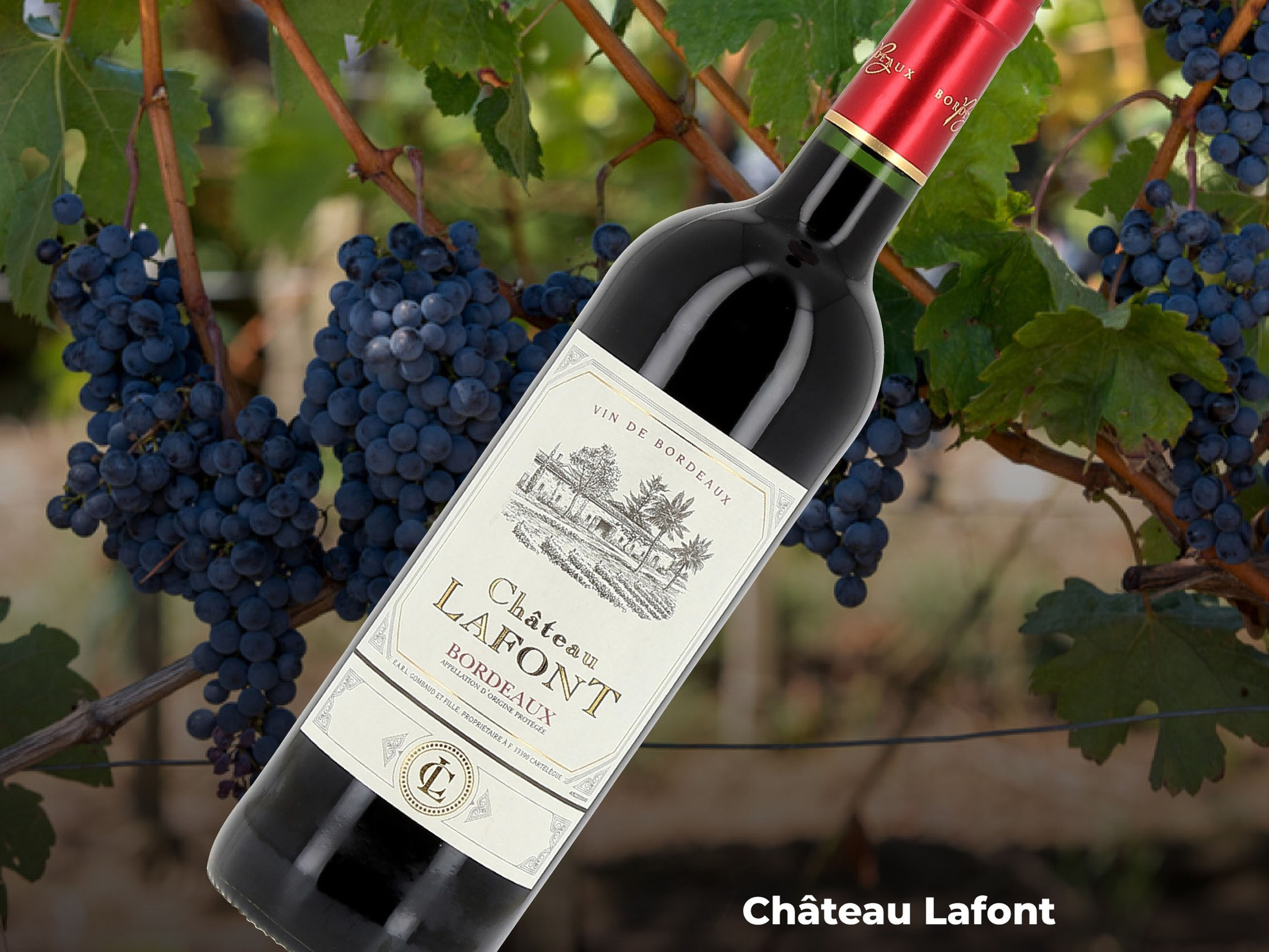 rượu vang château lafont