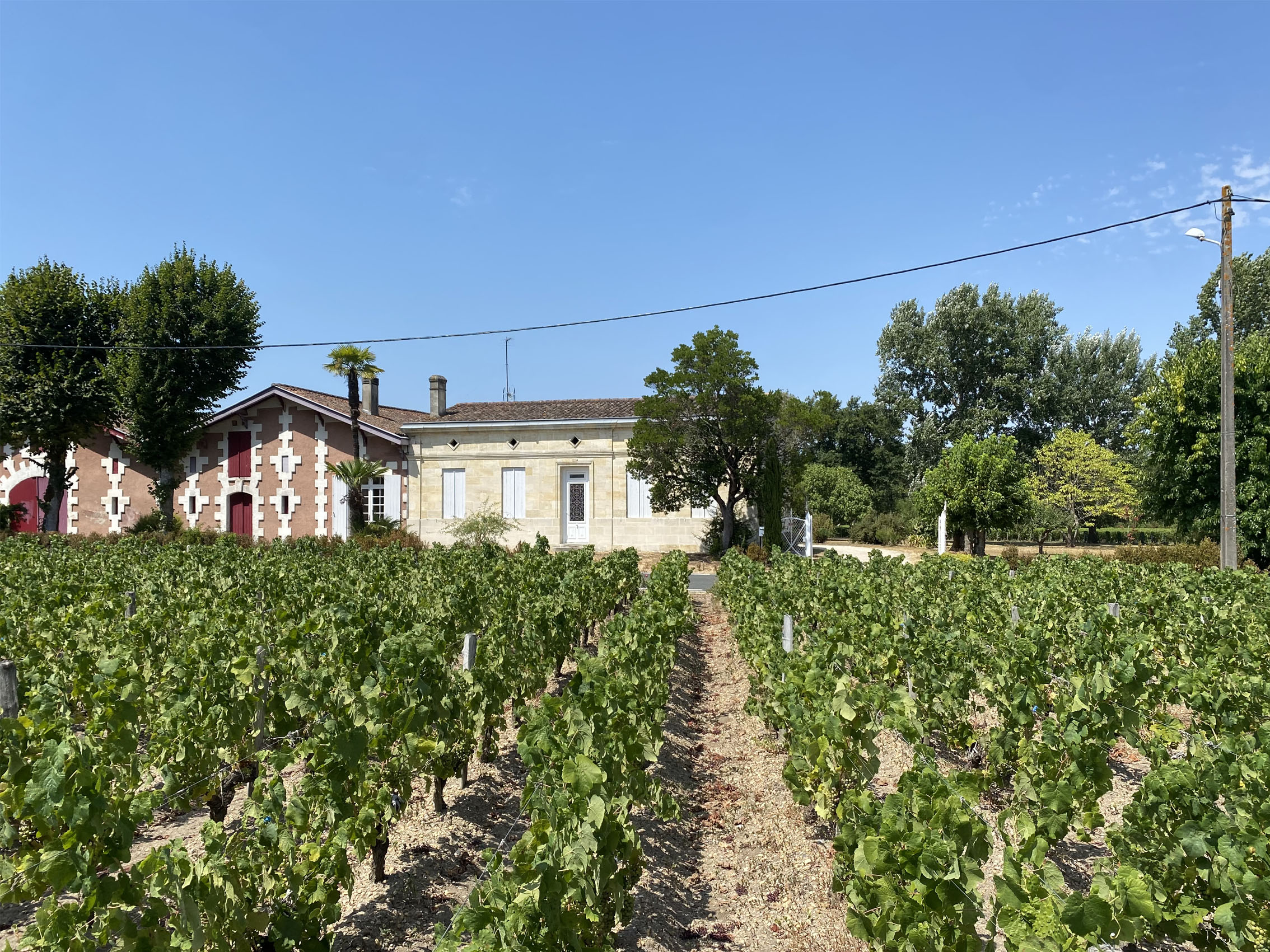 rượu vang château peyredon lagravette